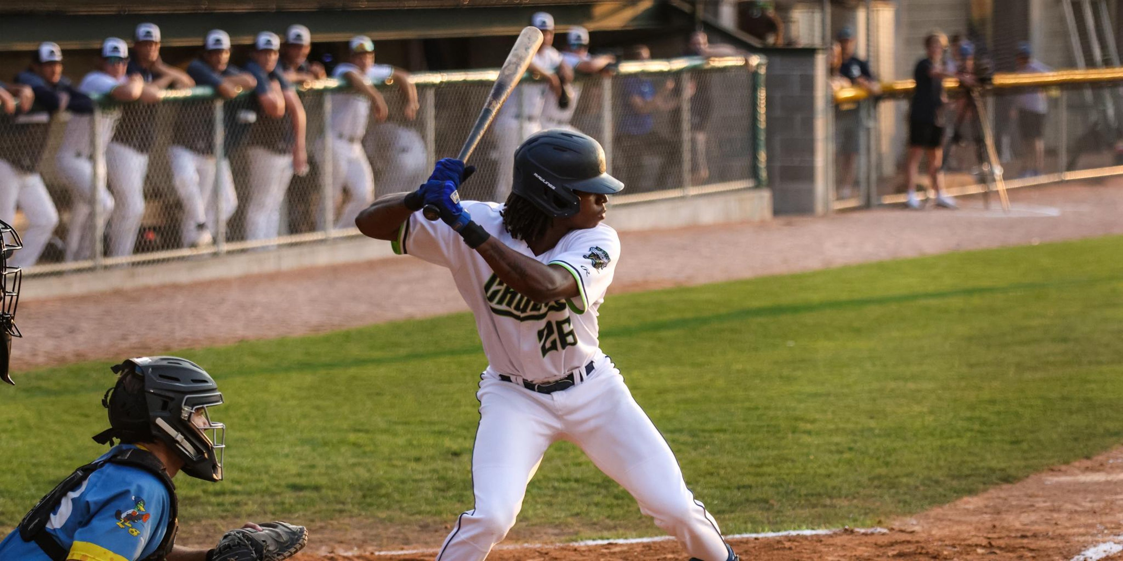 Image for Wausau Woodchucks