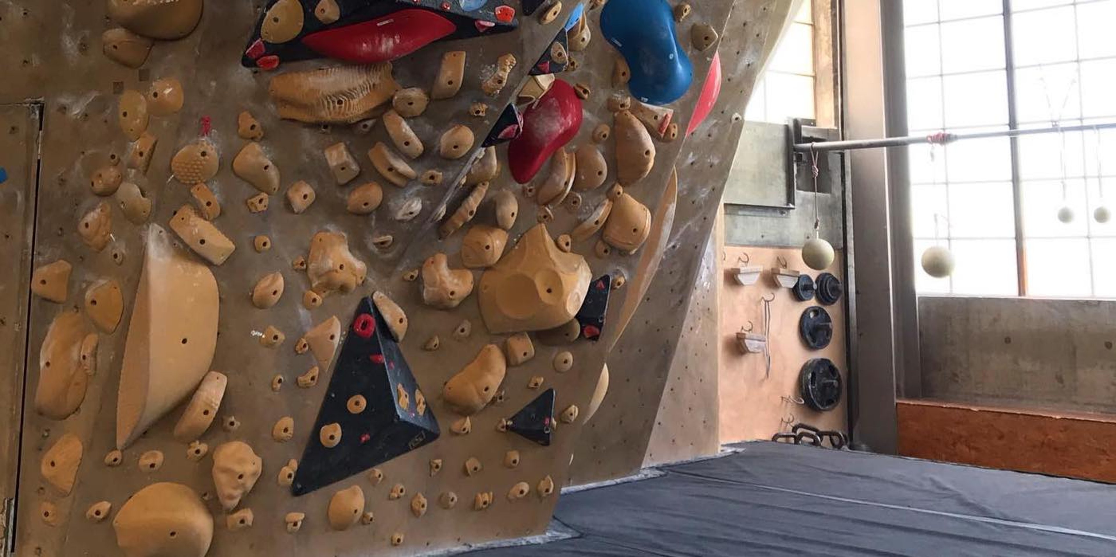 Image for Movement Gyms