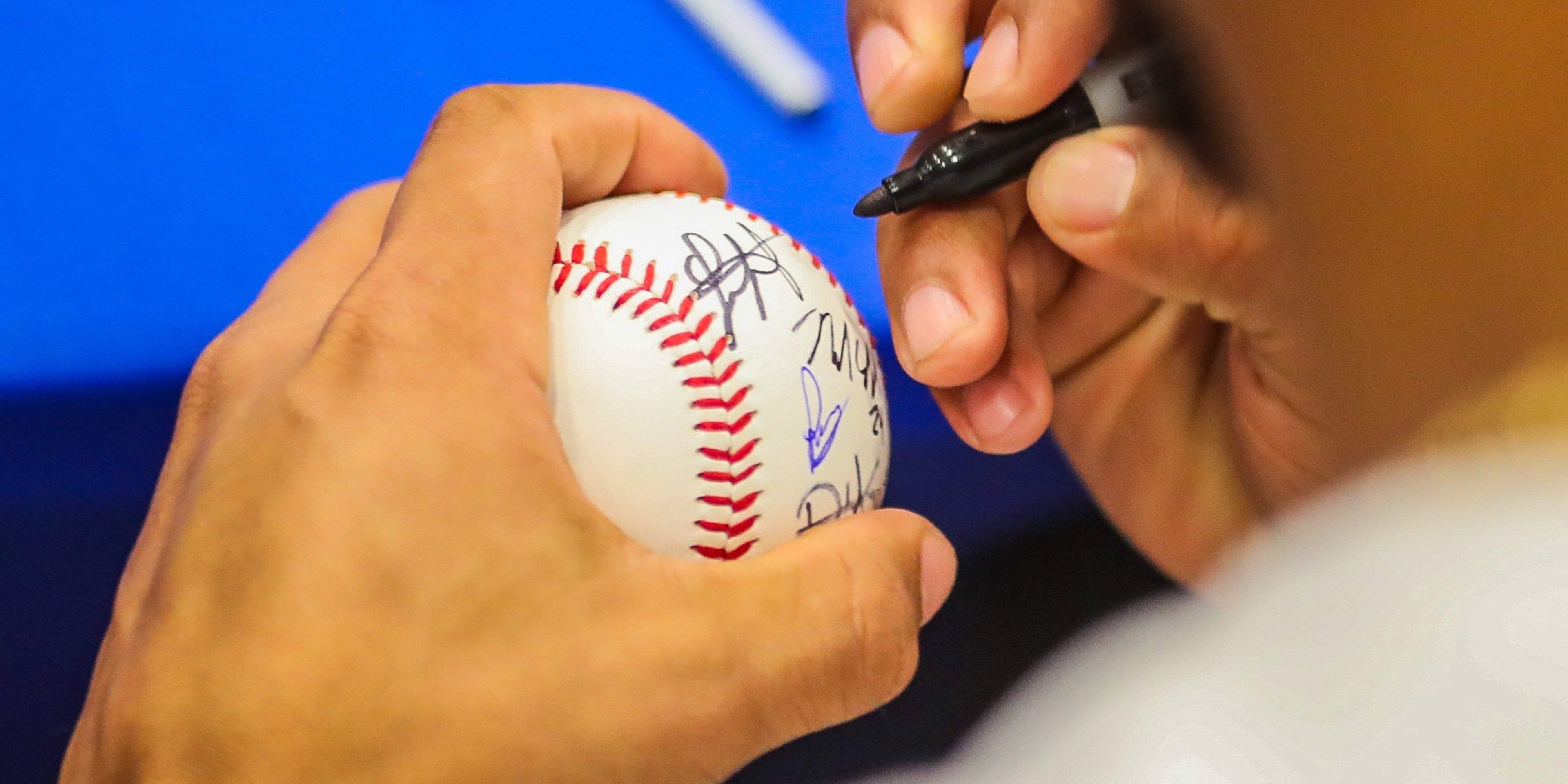 Image for Myrtle Beach Pelicans