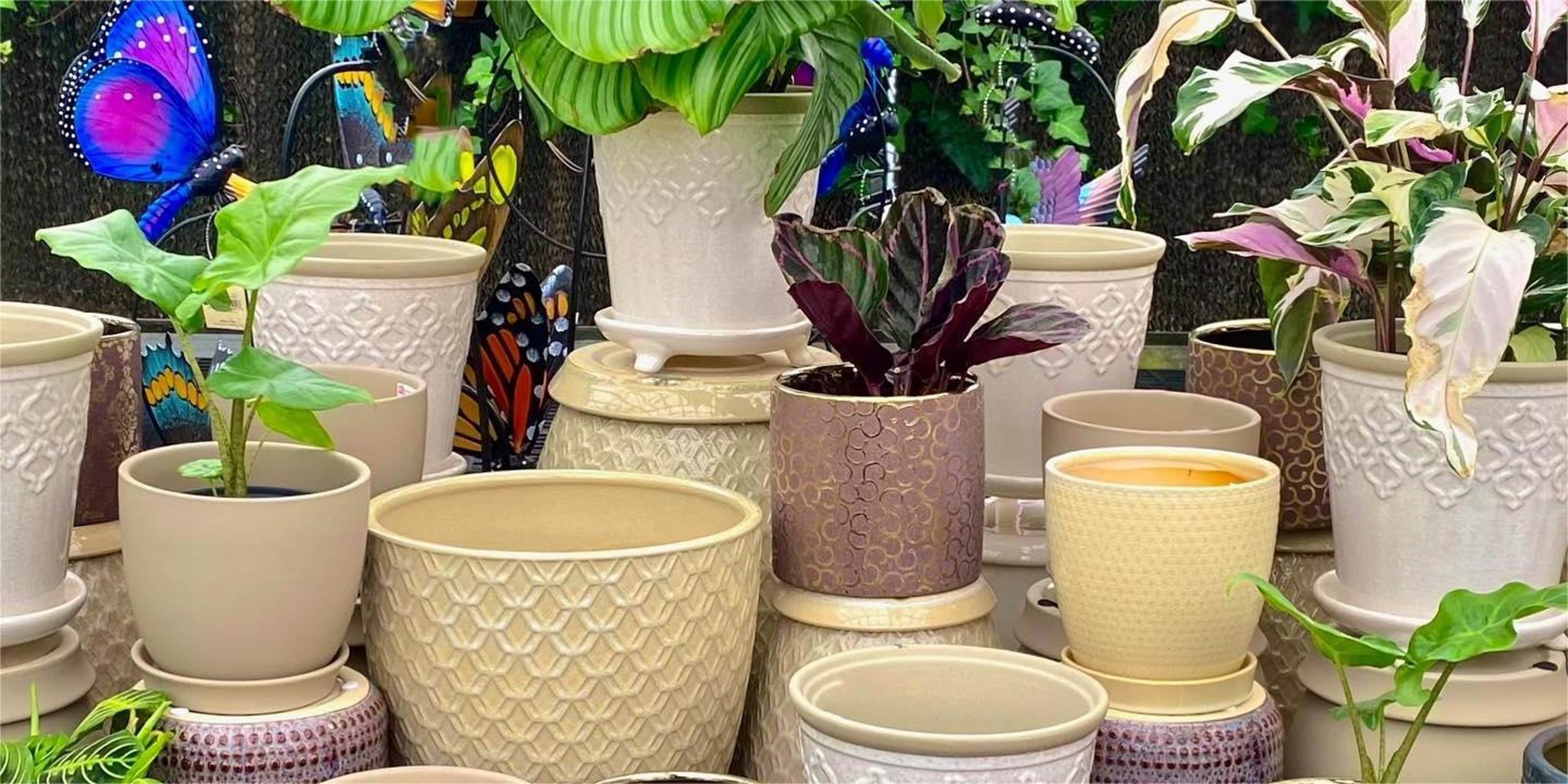 Image for Johnson's Garden Center