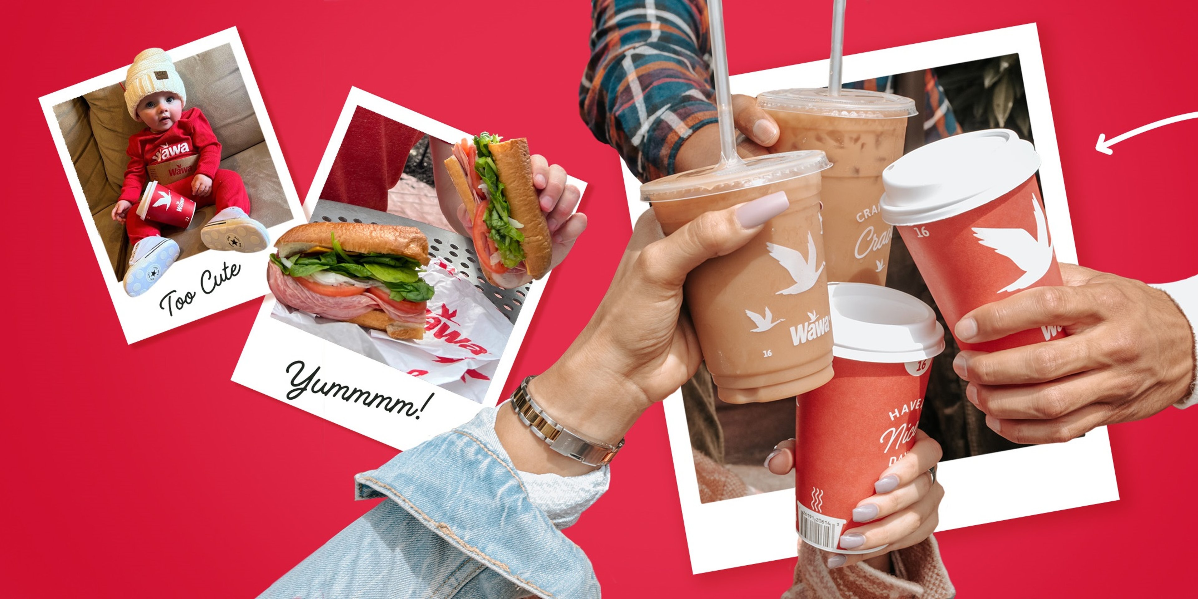 Image for Wawa Foundation