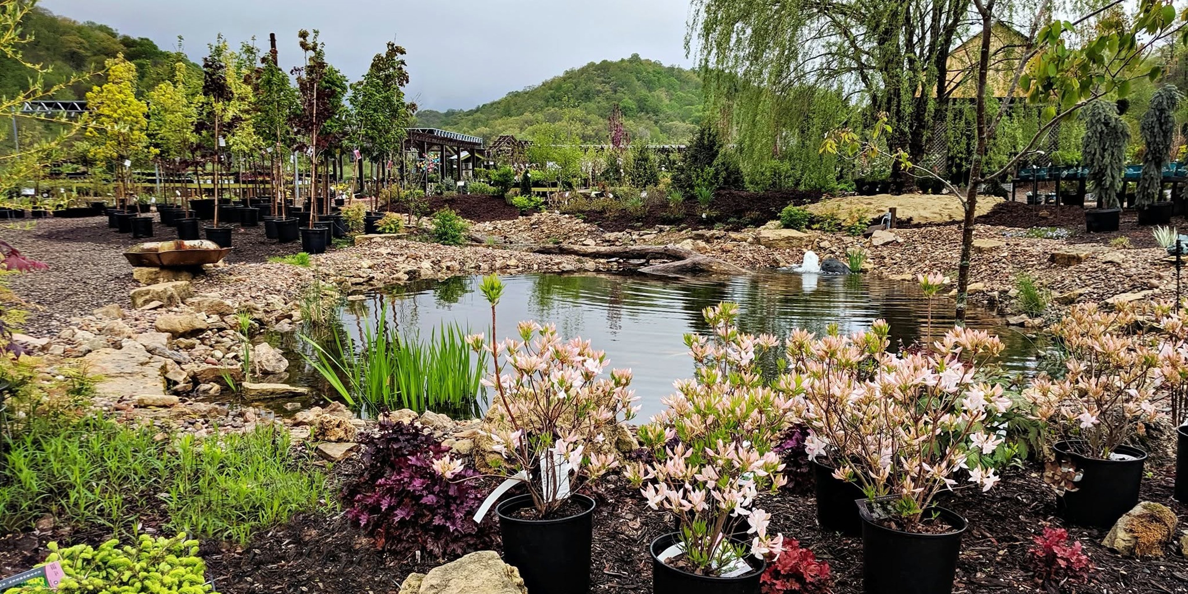 Image for Second Nature at Reads Creek