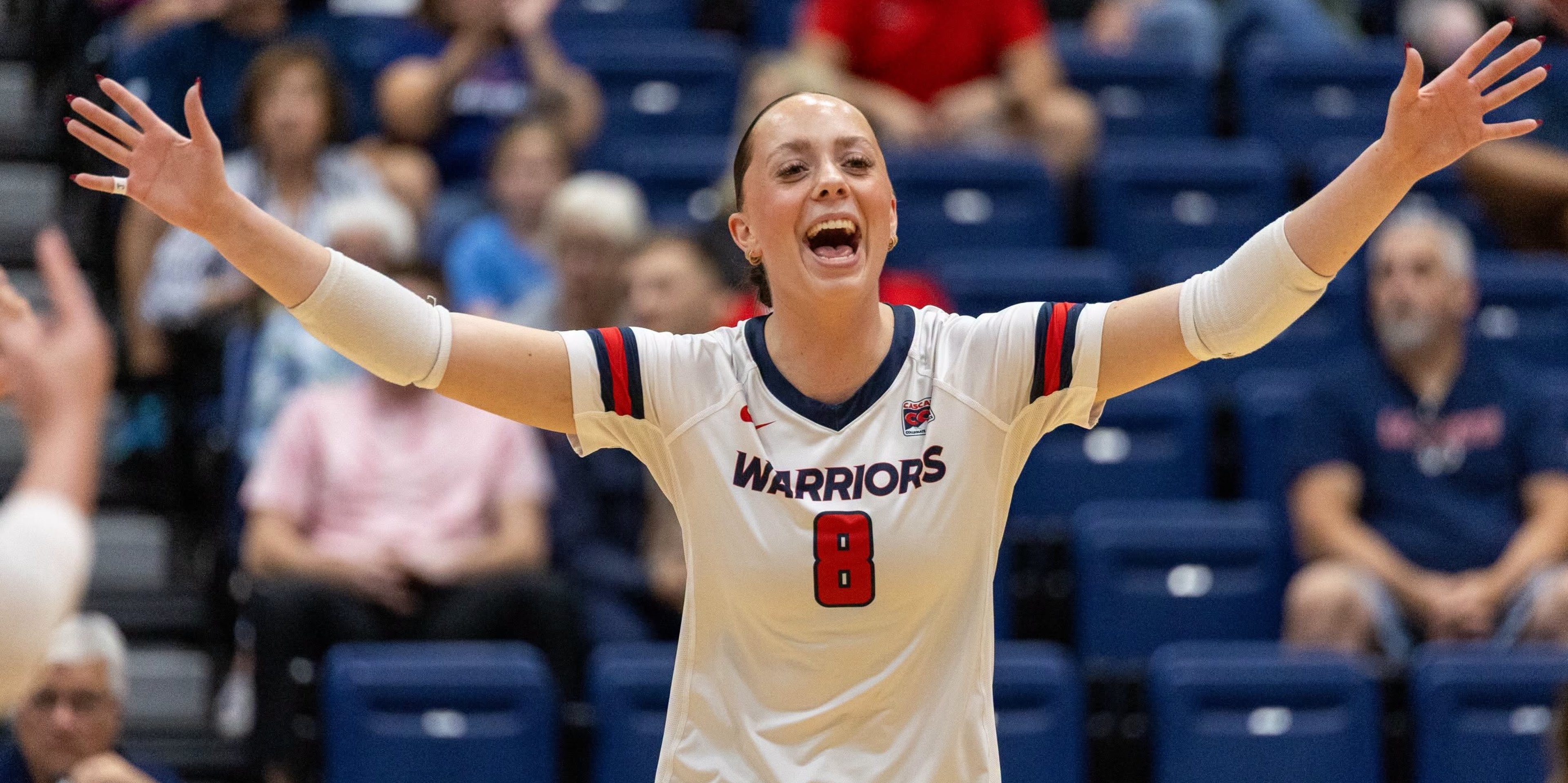 Image for Lewis-Clark State College Athletics