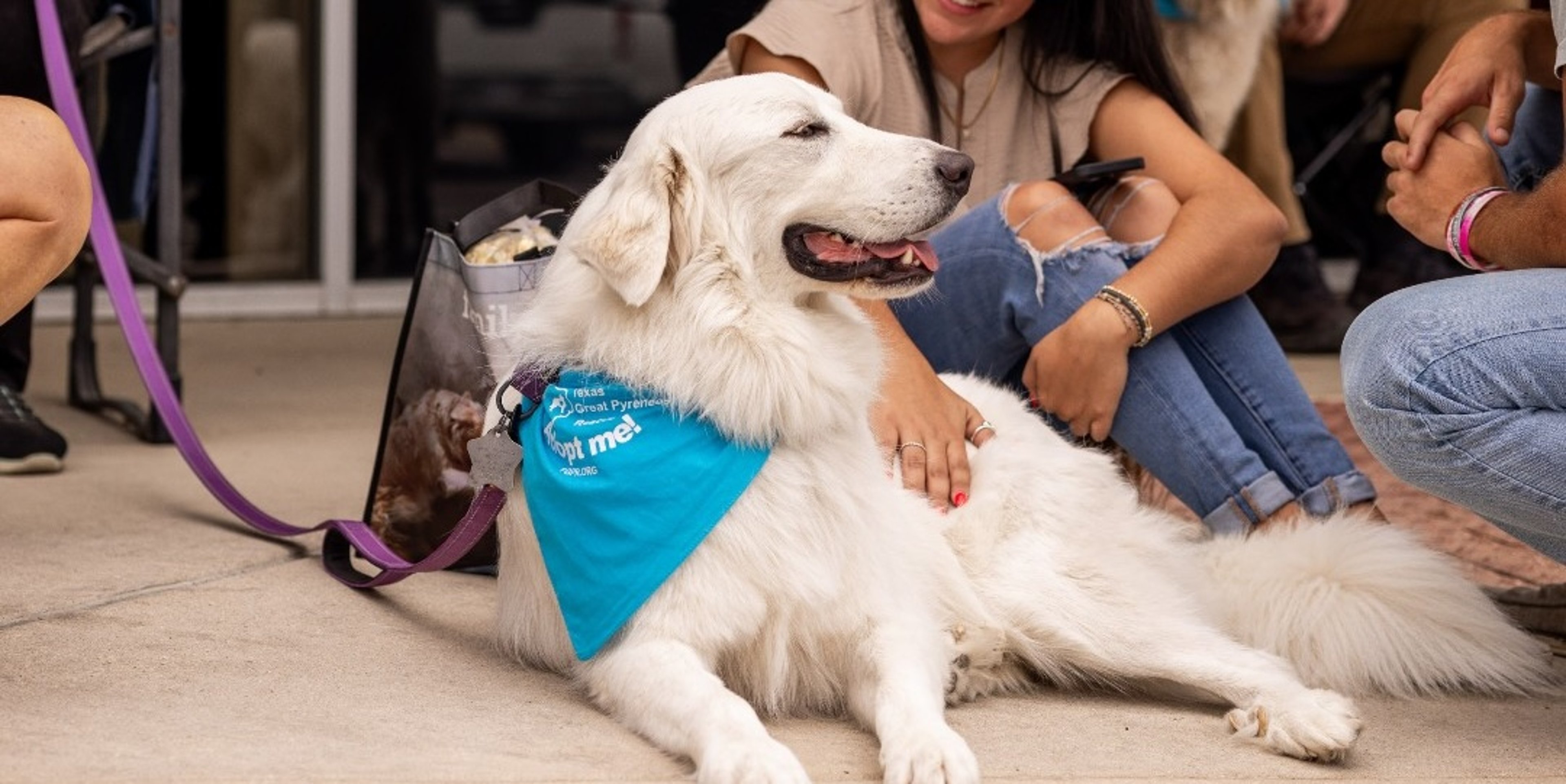 Image for Tomlinson’s Feed