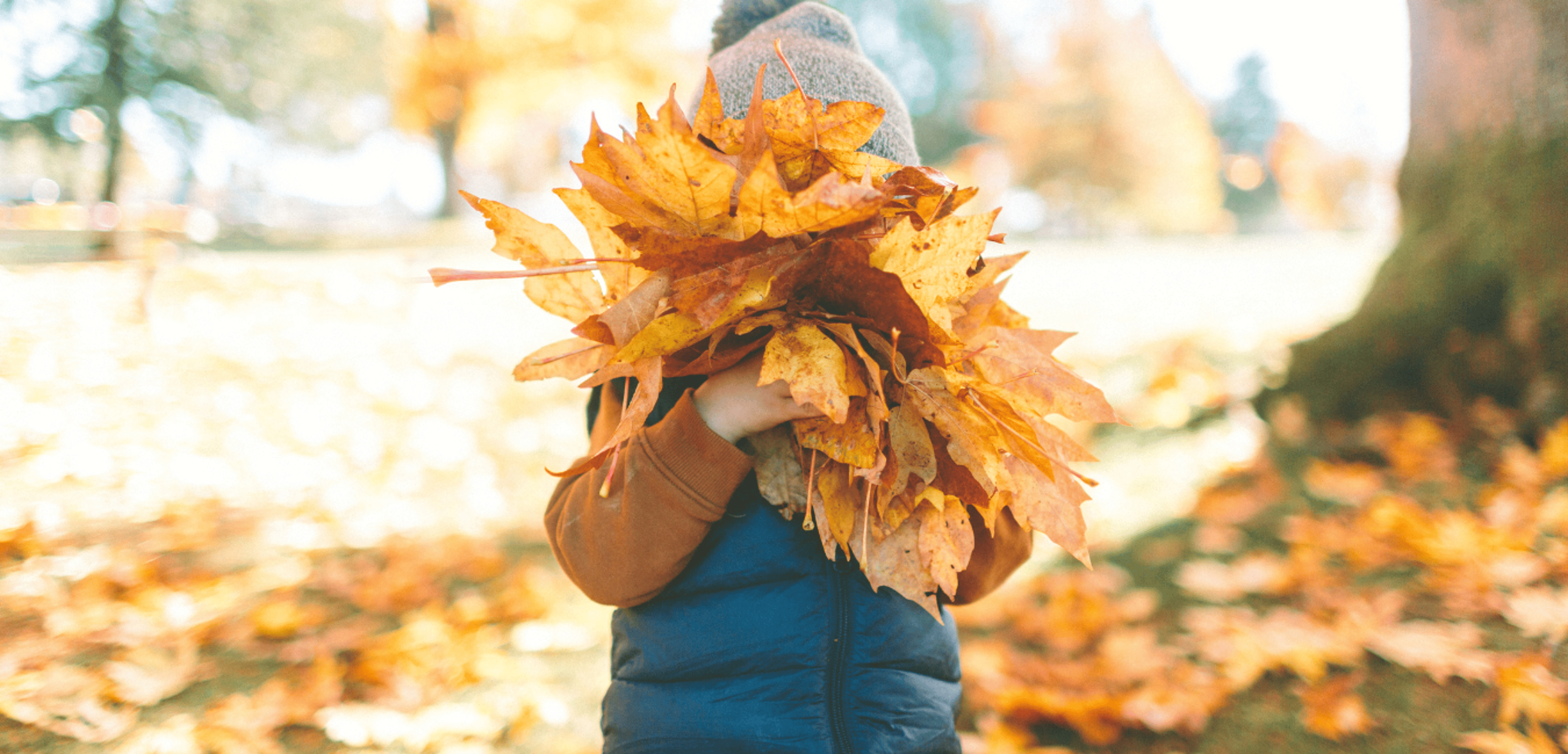 Cover photo for 10 Cozy Fall Fundraiser Ideas to Warm Up Your Nonprofit's Autumn