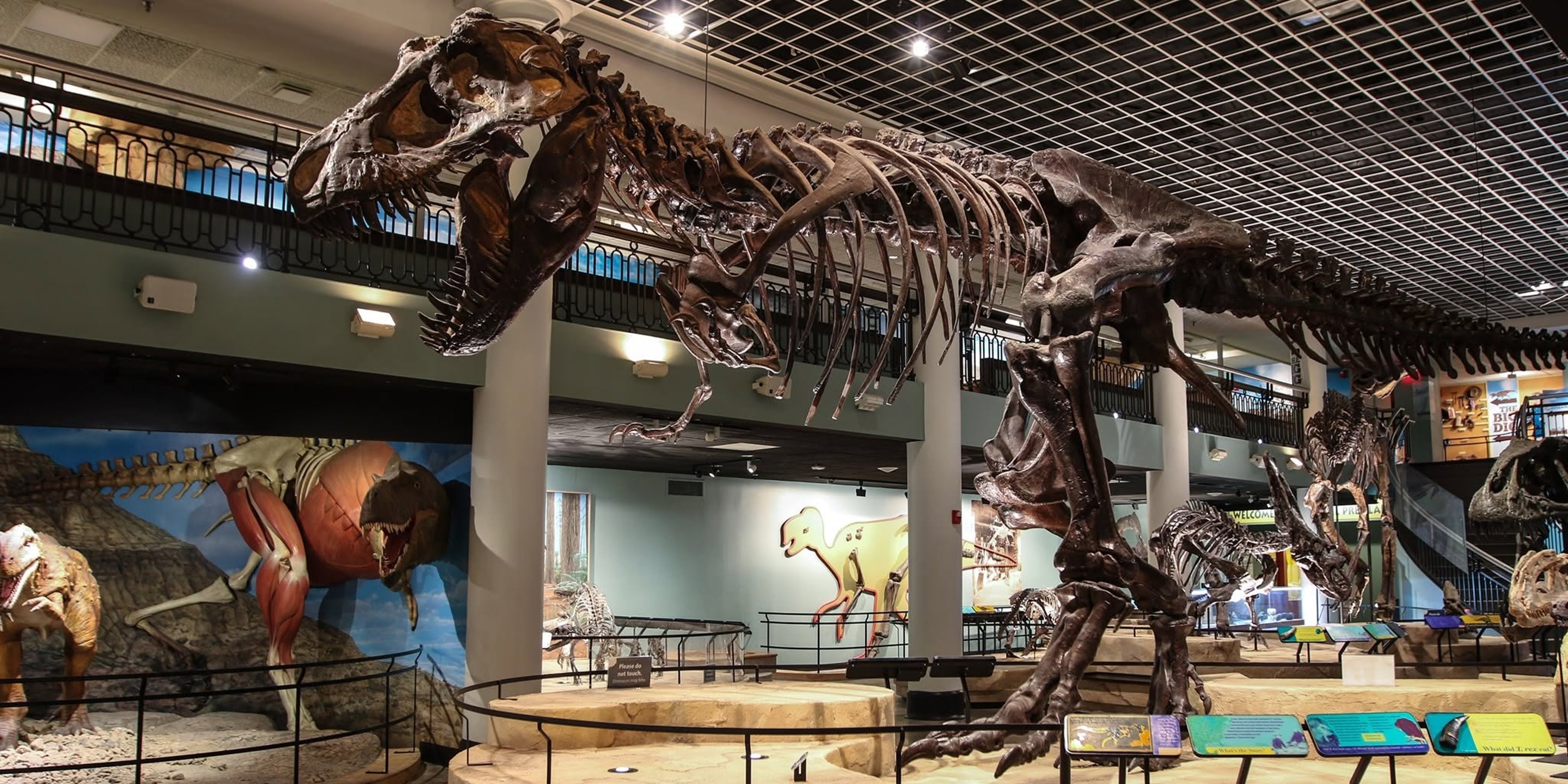 Image for Academy of Natural Sciences