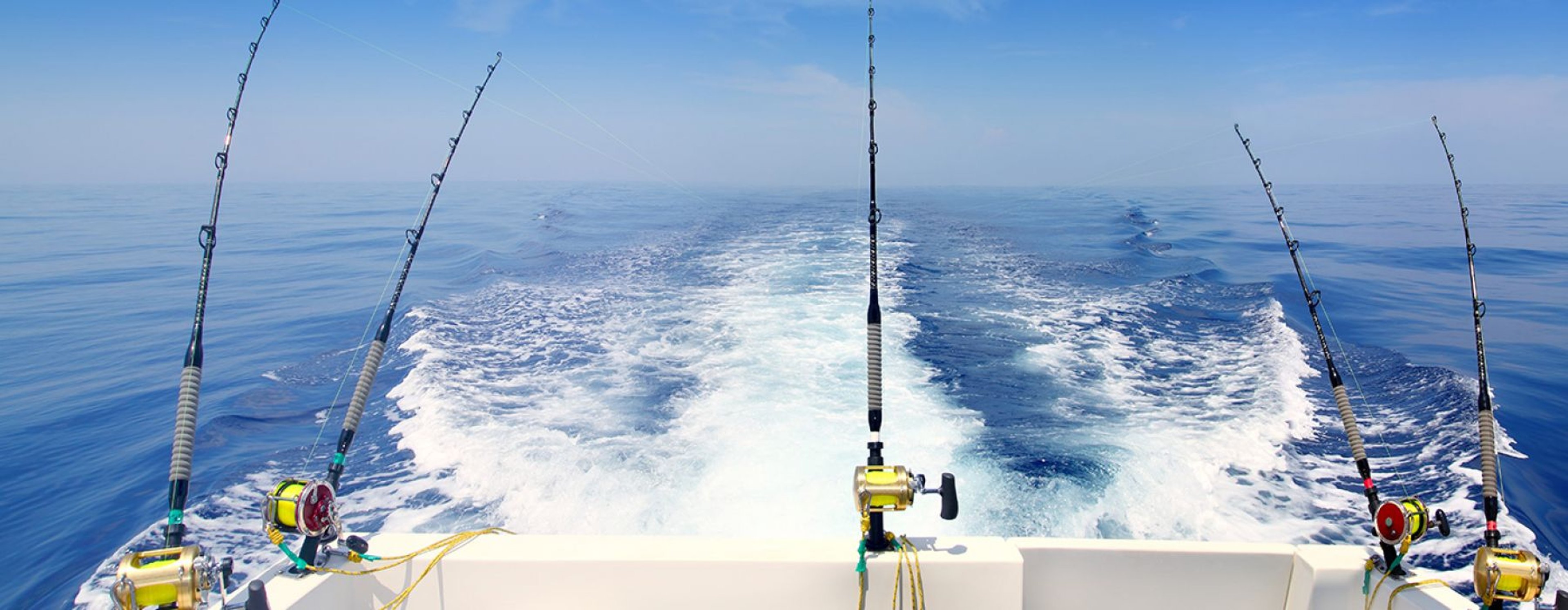 Image for Ultimate Off Shore Salt Water Fishing Experience