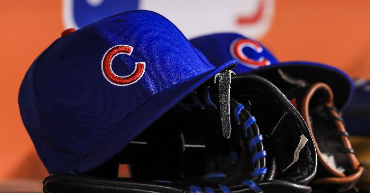 Chicago Cubs Donation Request