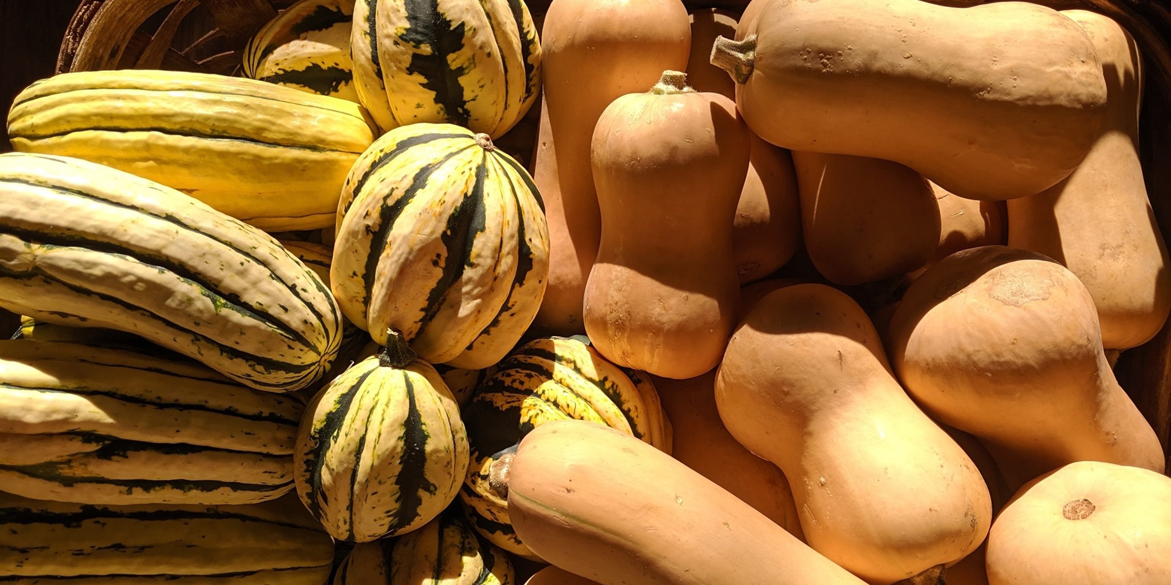 Image for Radish & Rye Food Hub