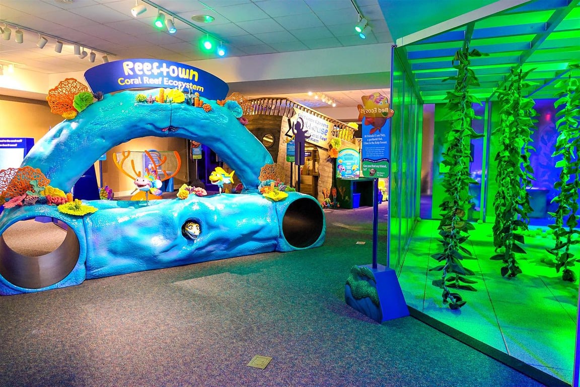 The Magic House Donation Request