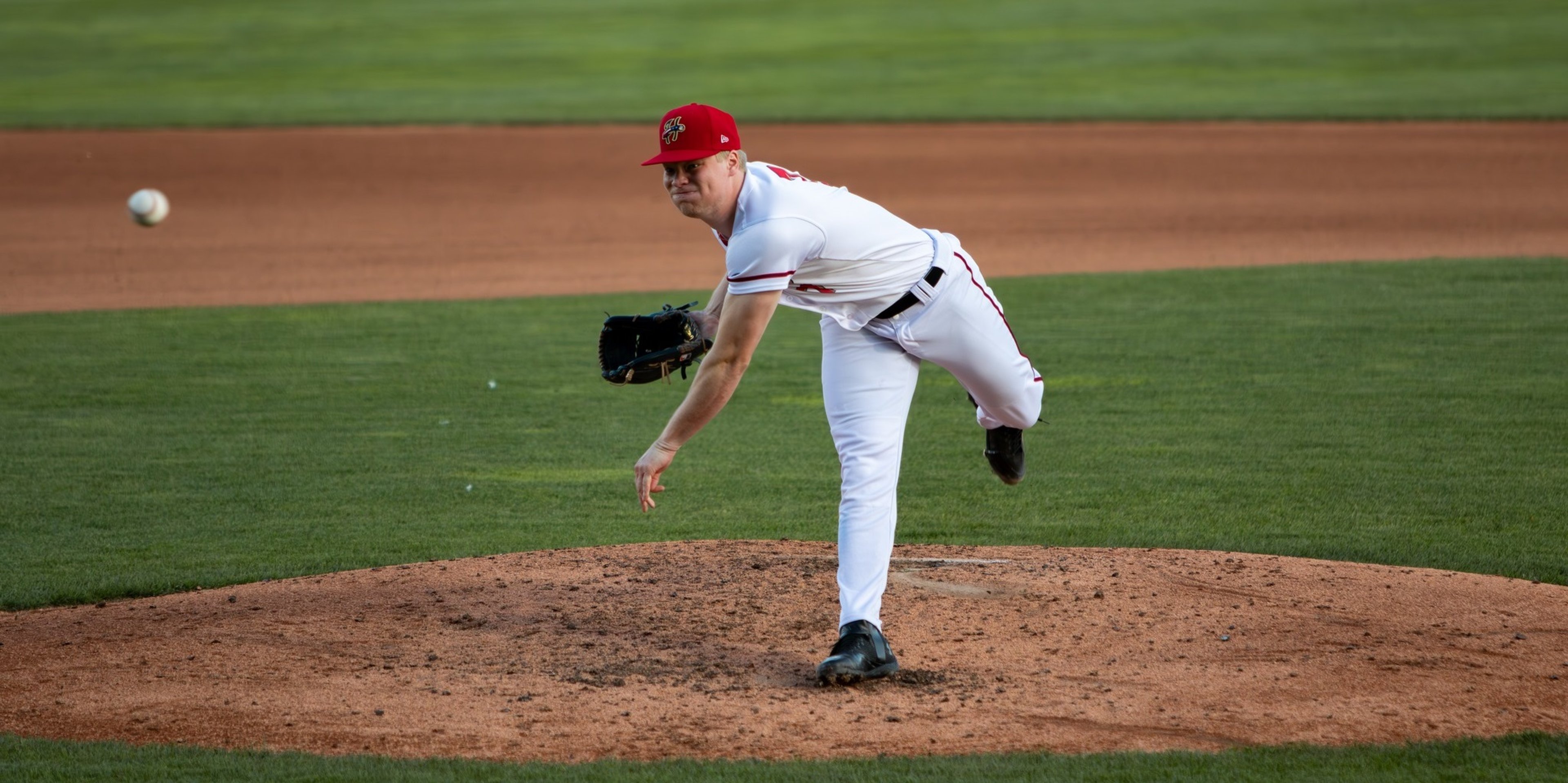 Image for Harrisburg Senators