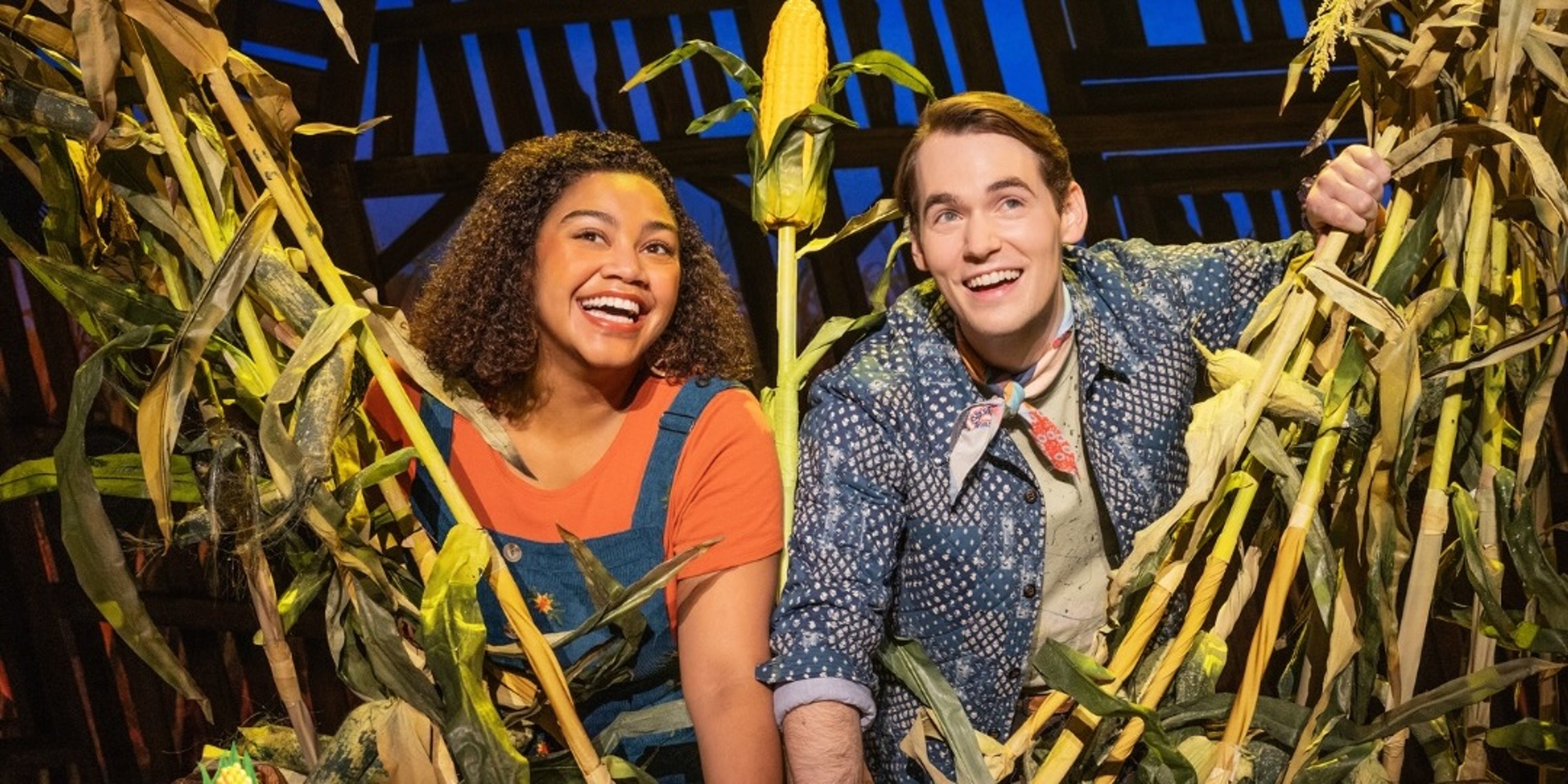 Image for The Fabulous Fox