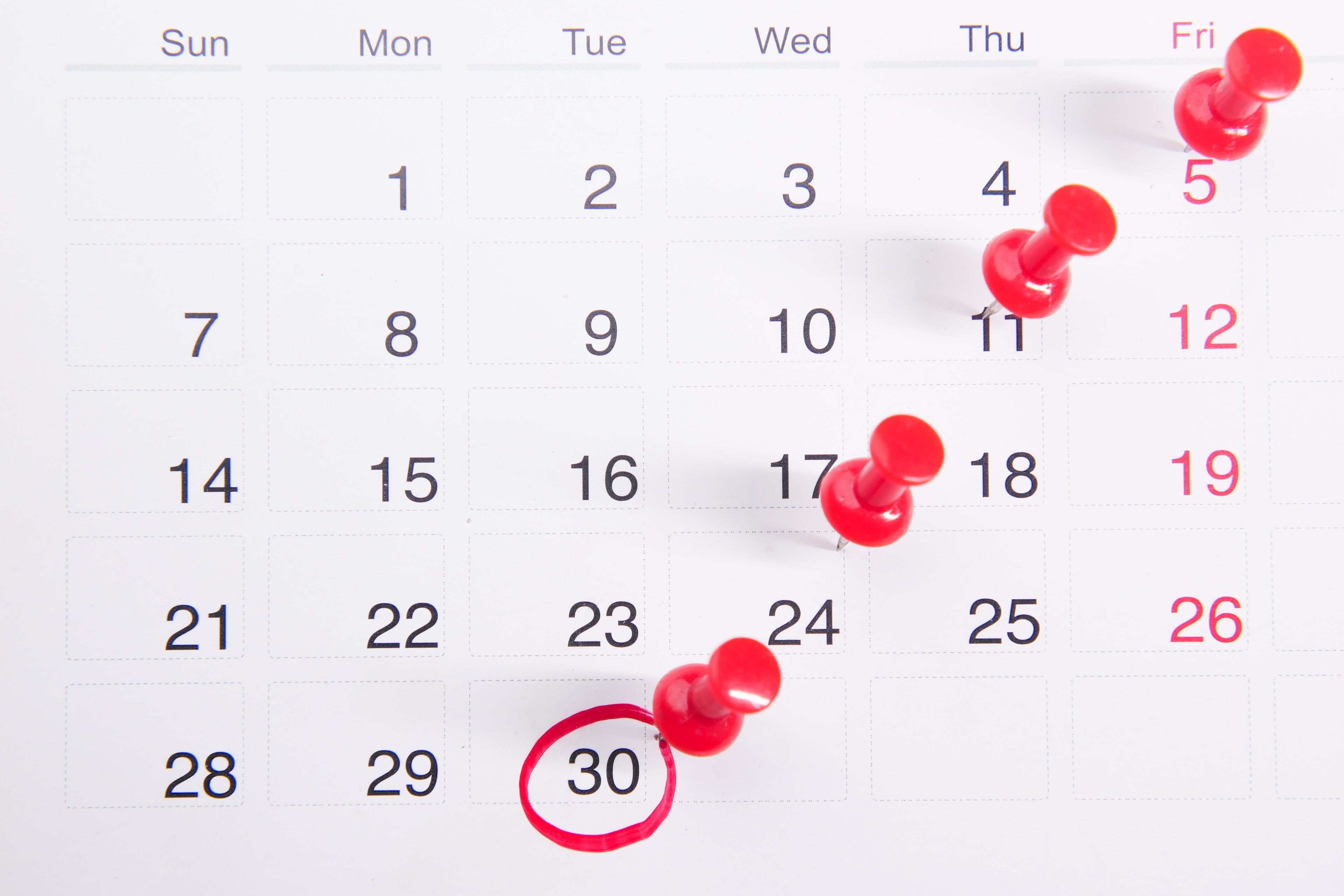 Cover photo for How to Plan a Successful Fundraising Event