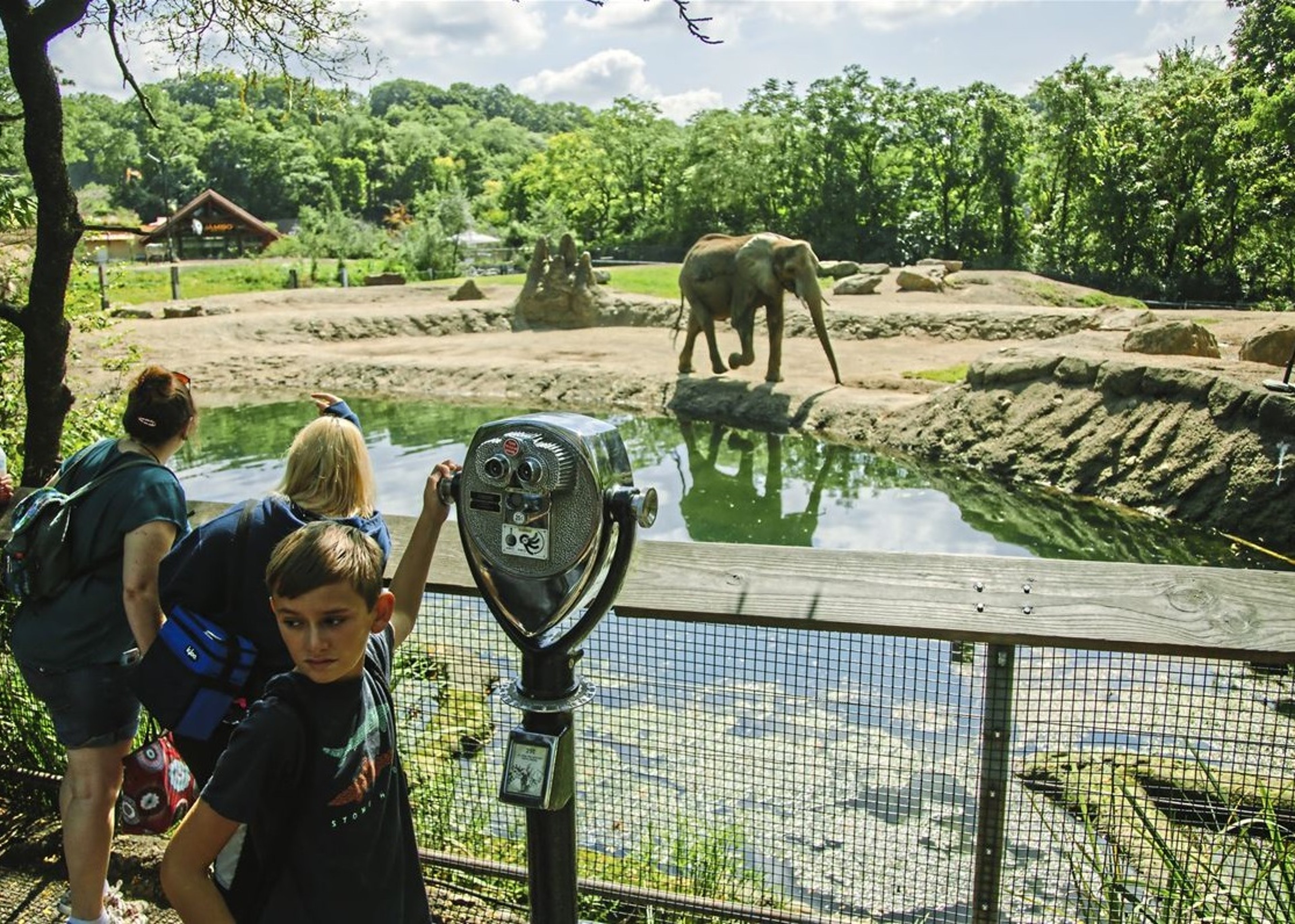 Image for Pittsburgh Zoo & PPG Aquarium