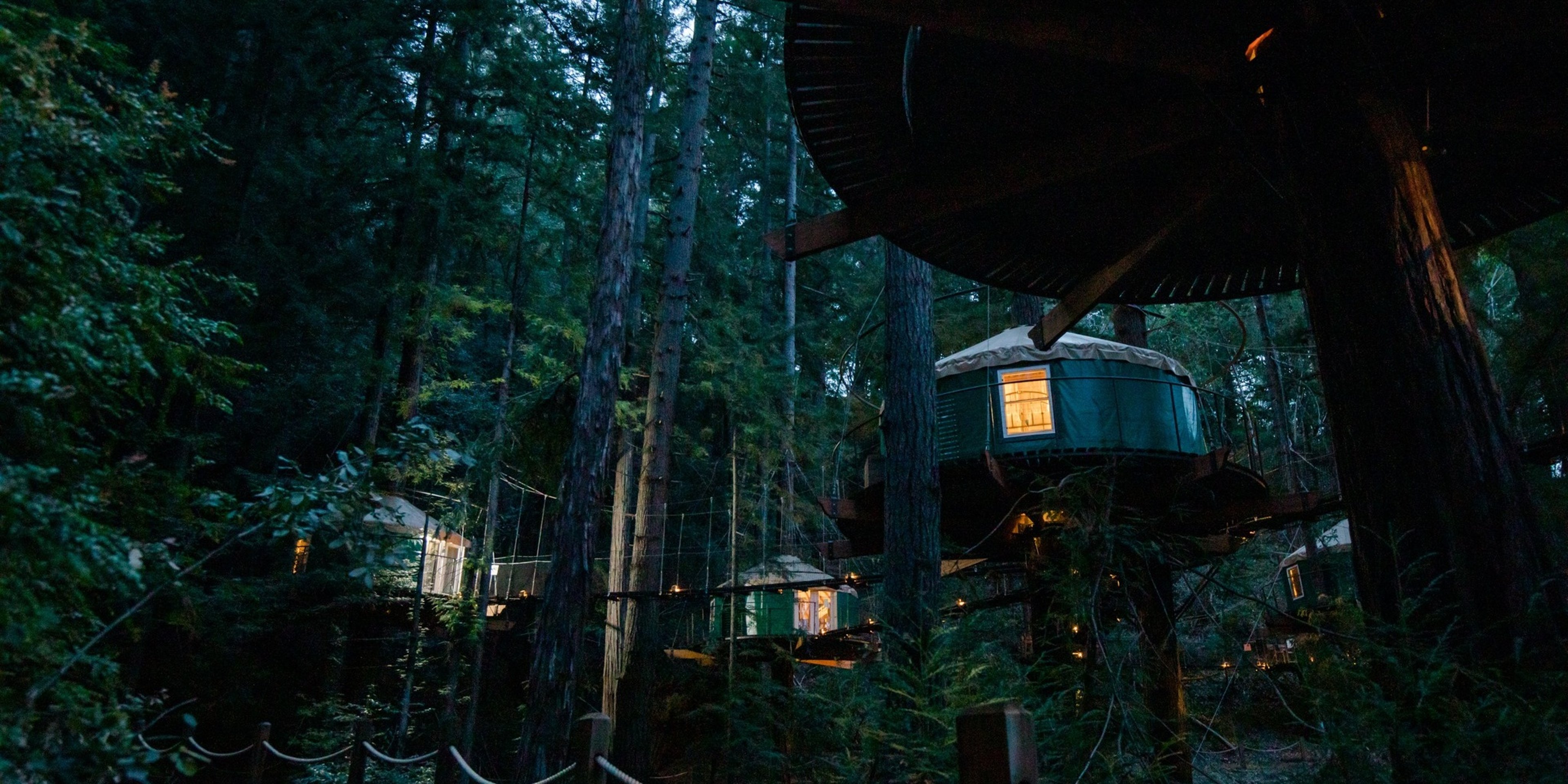 Image for Sonoma Zipline Adventures