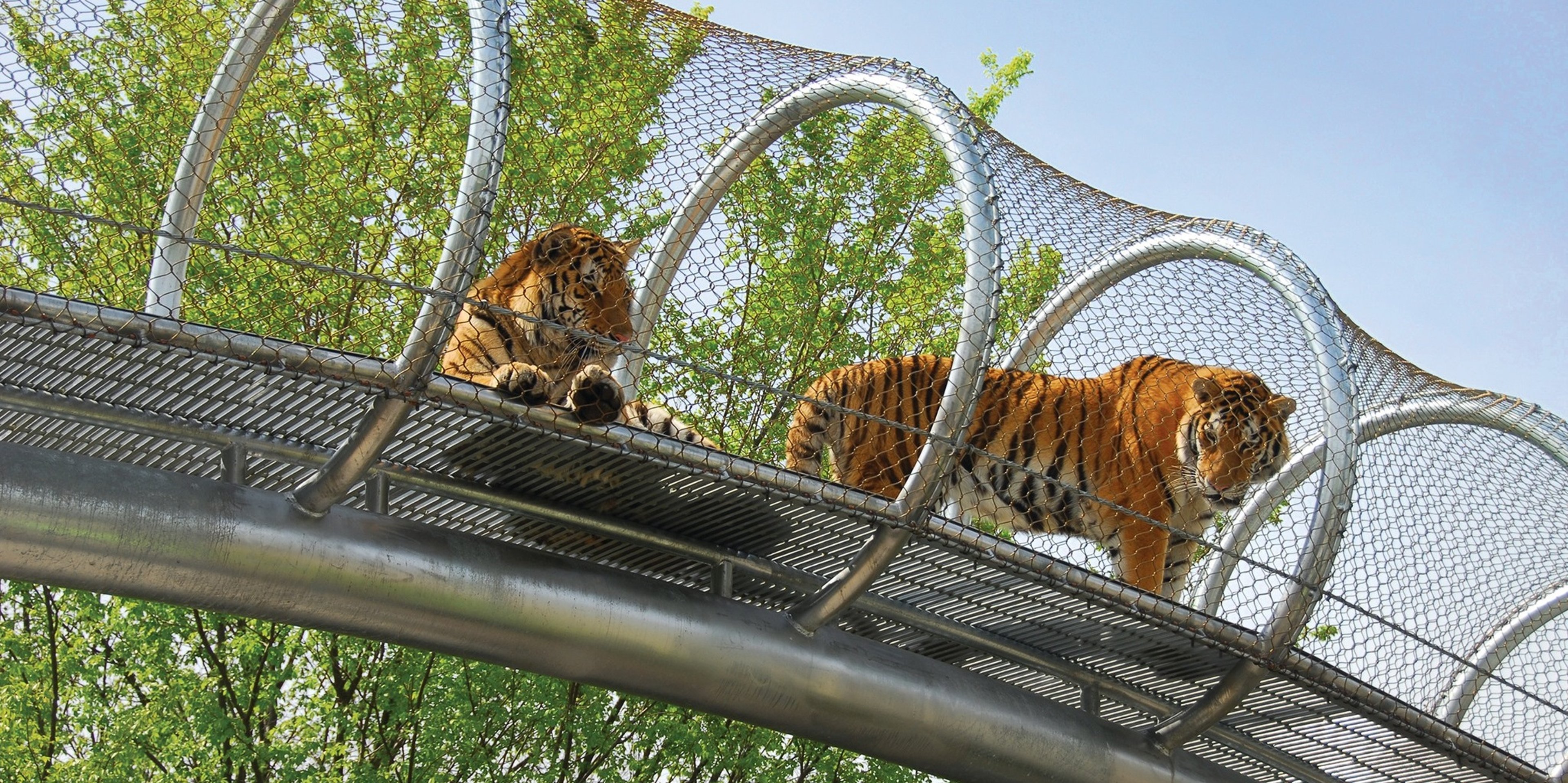 Image for Philadelphia Zoo