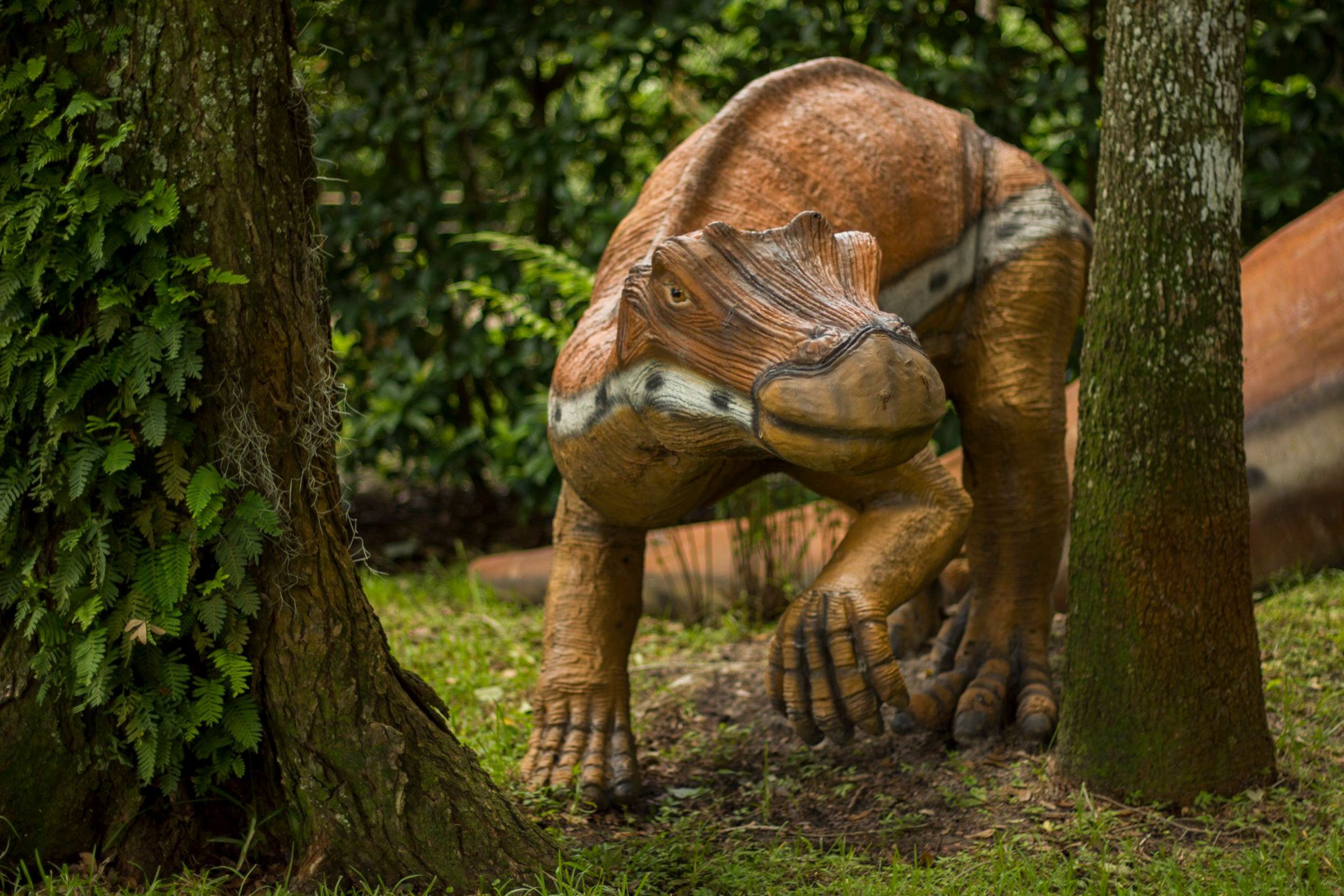 Image for Dinosaur World