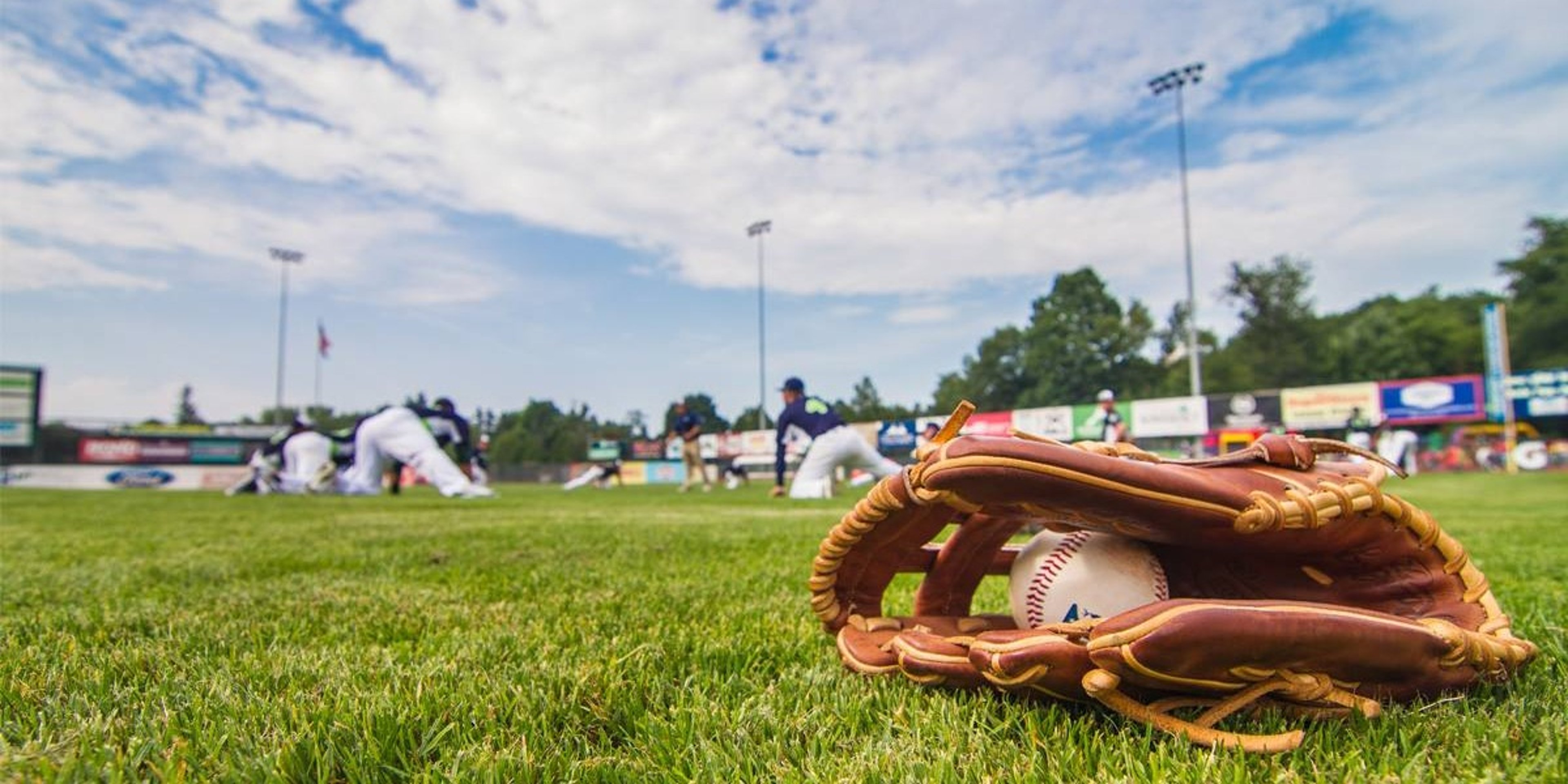 Image for Vermont Lake Monsters