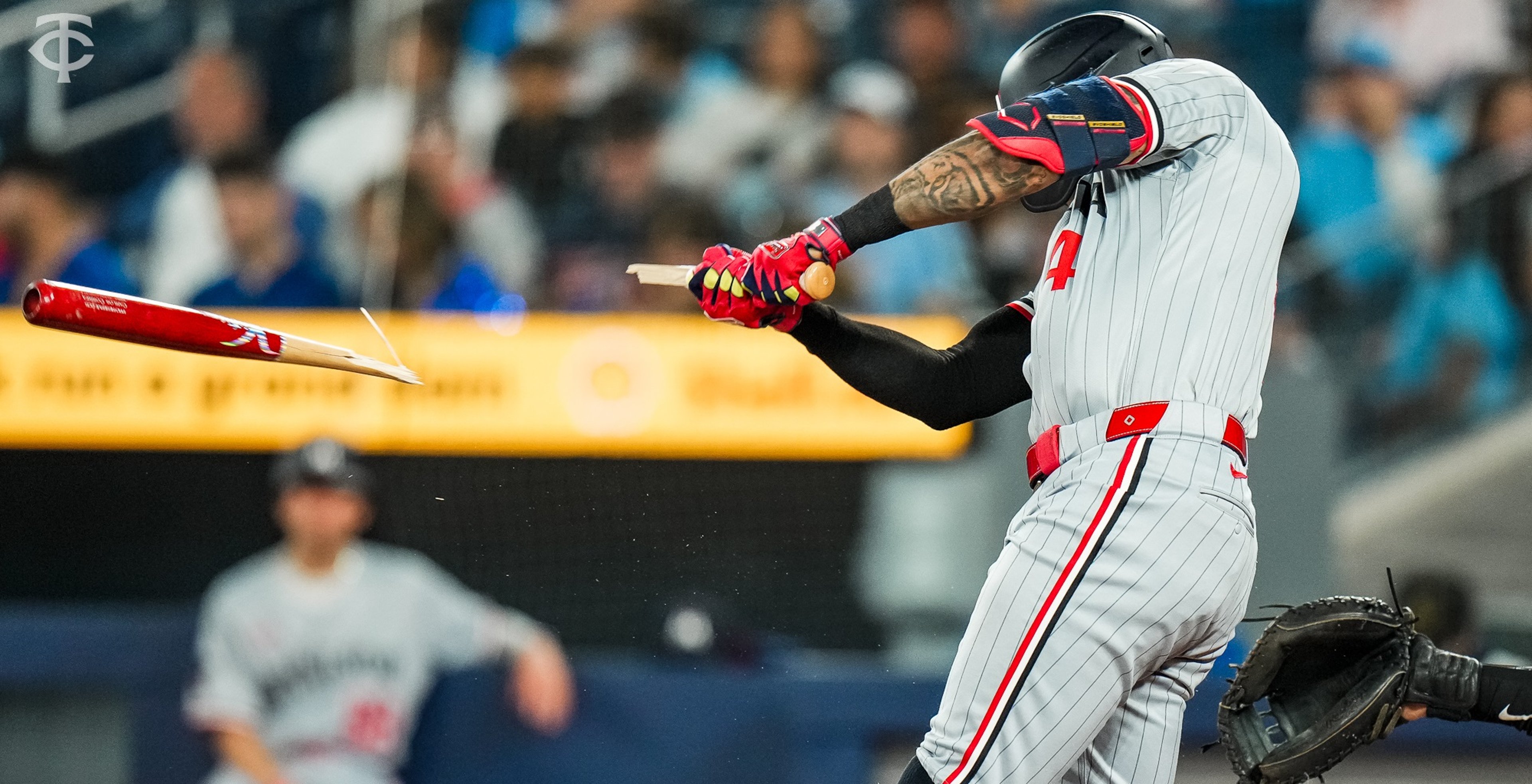 Image for Minnesota Twins