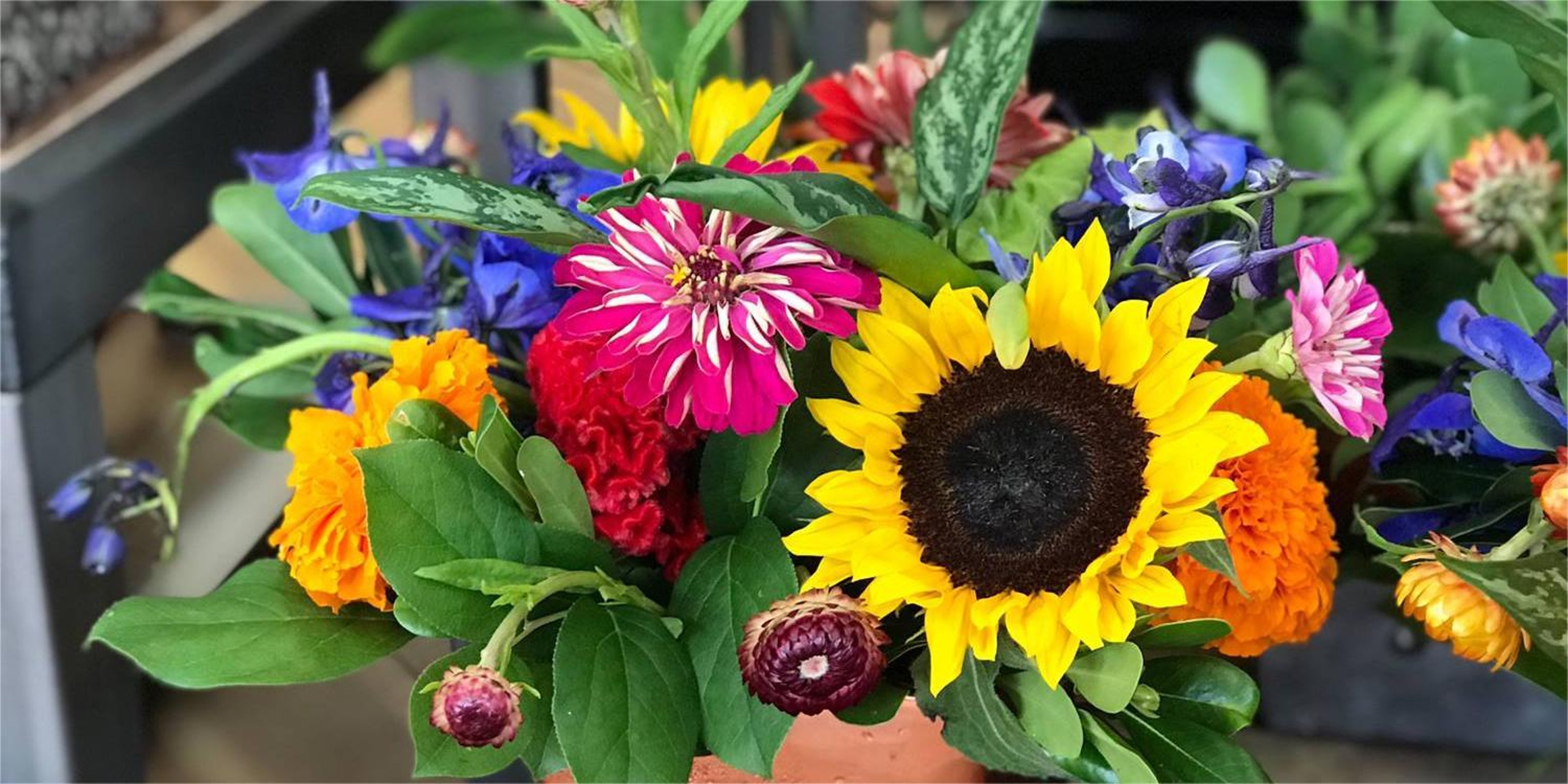 Image for Bloom Flowers & Gifts