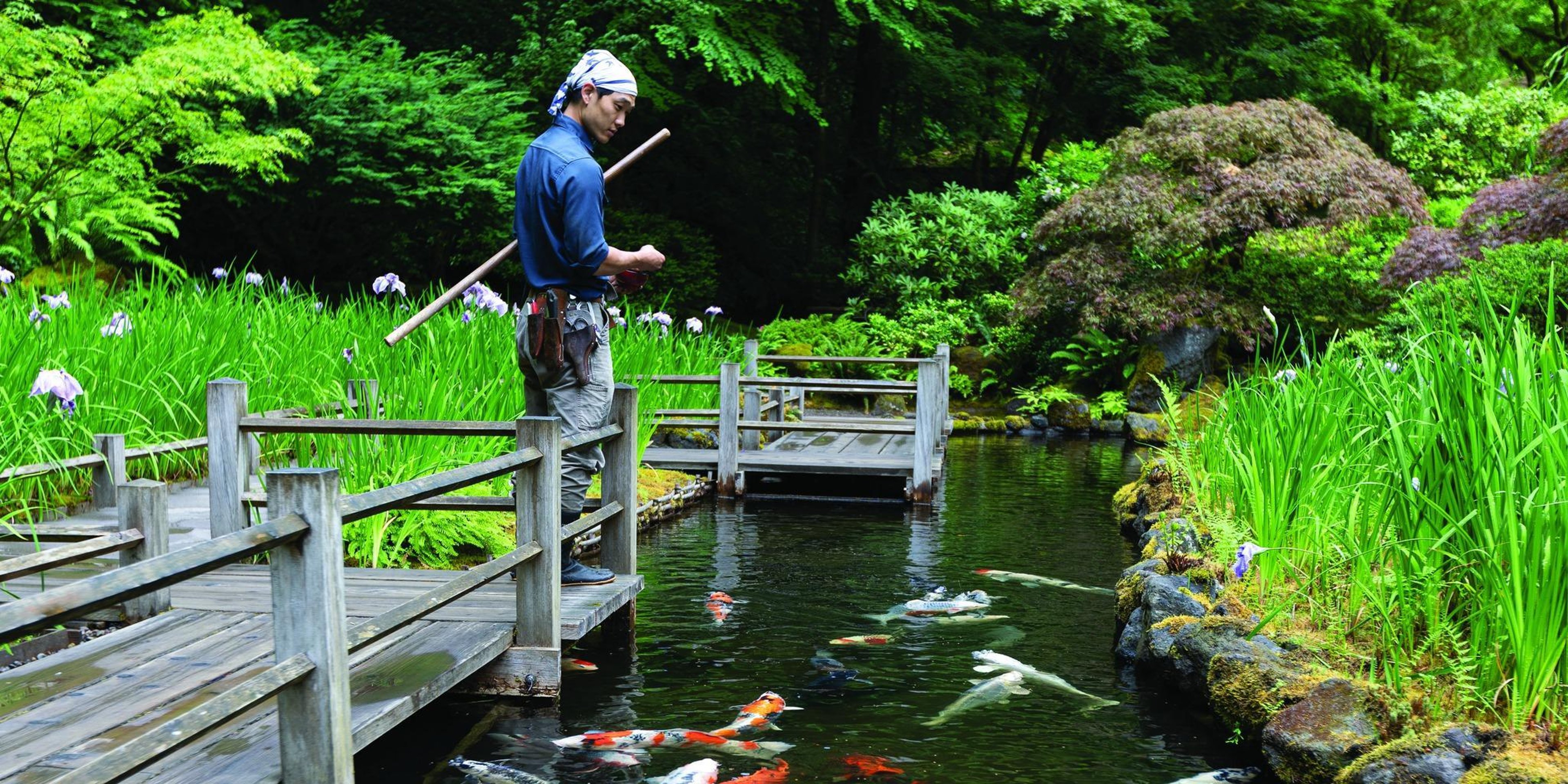 Image for Portland Japanese Garden