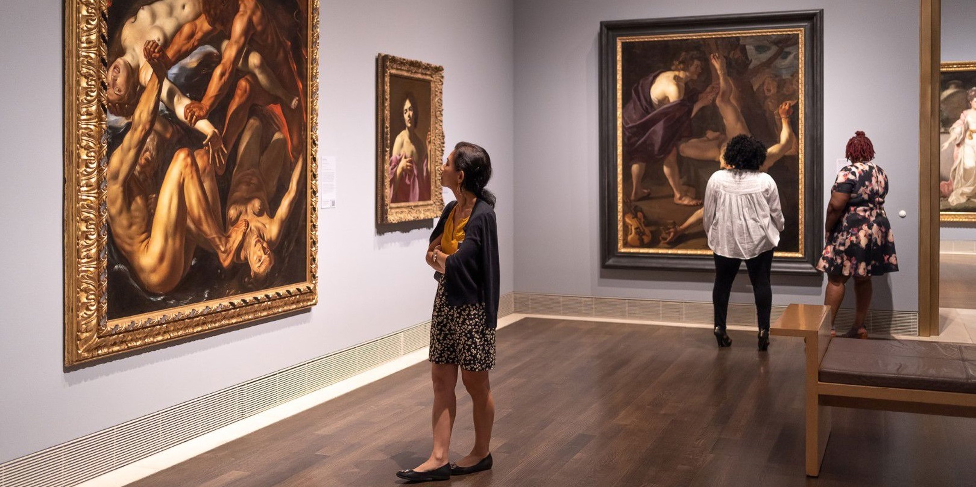 Image for The Museum of Fine Arts, Houston