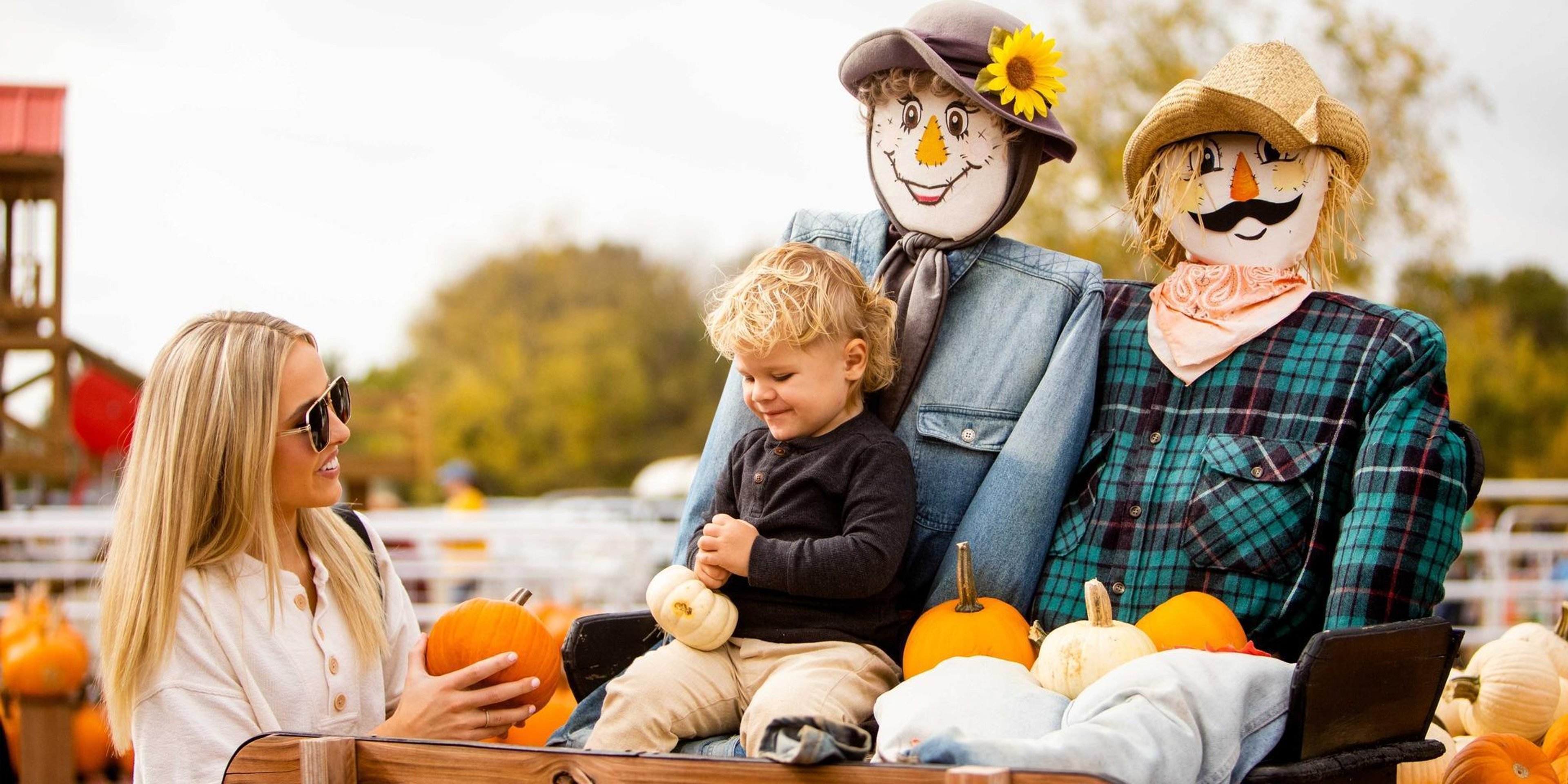 Image for Faulkner's Ranch