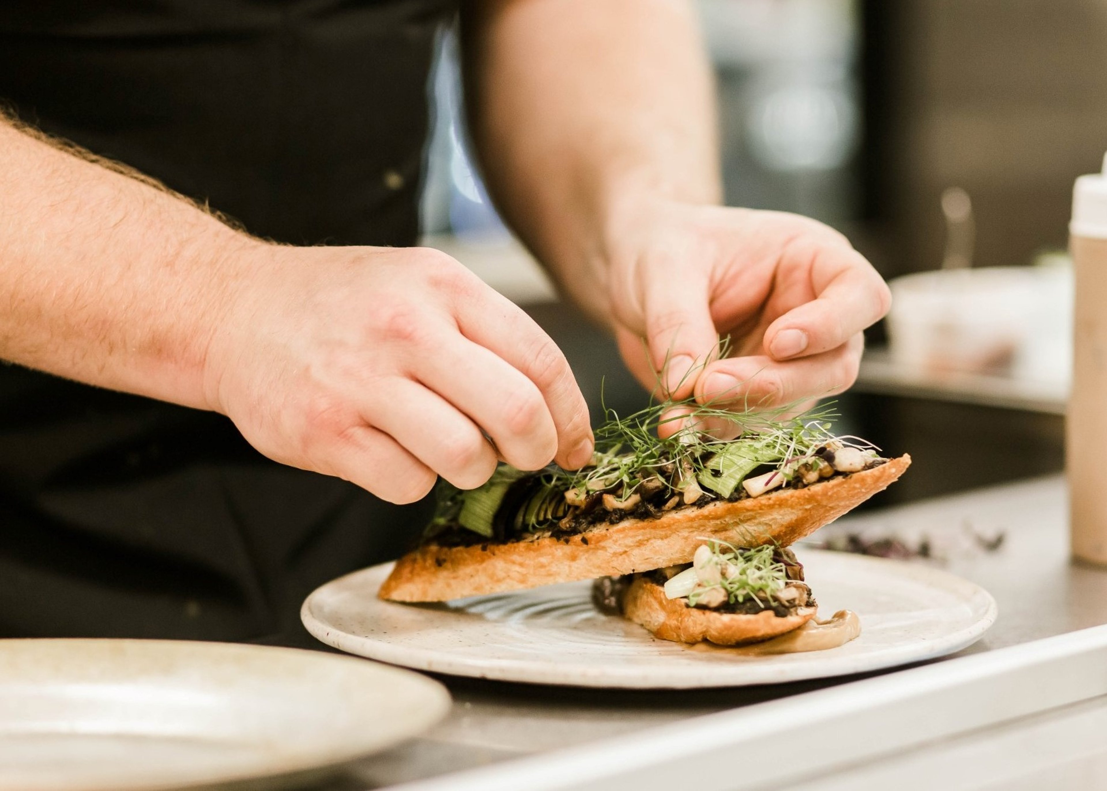 Image for Congaree and Penn