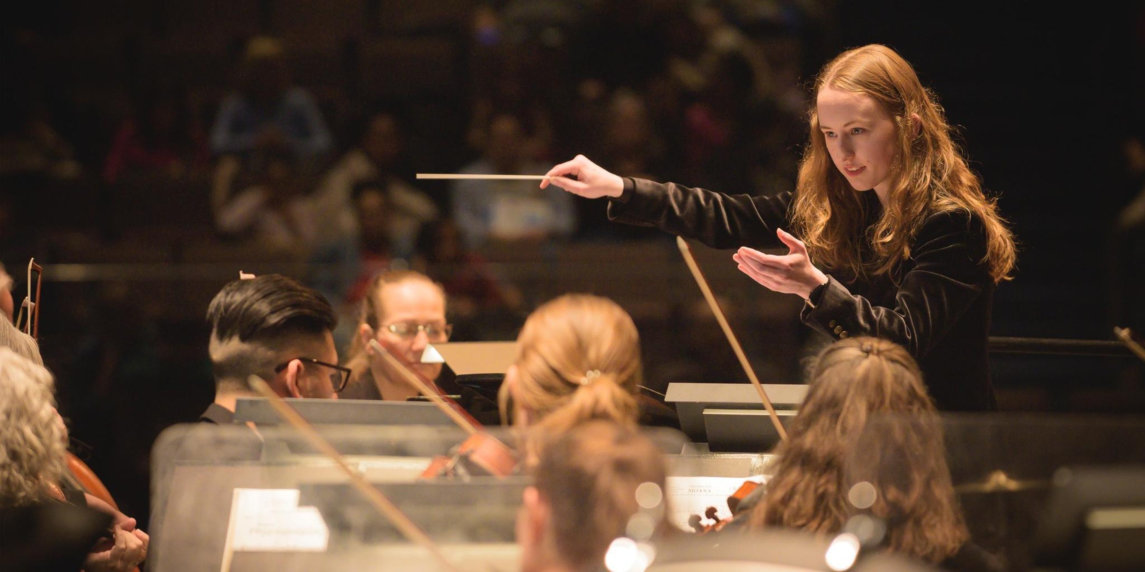 Image for New Haven Symphony Orchestra