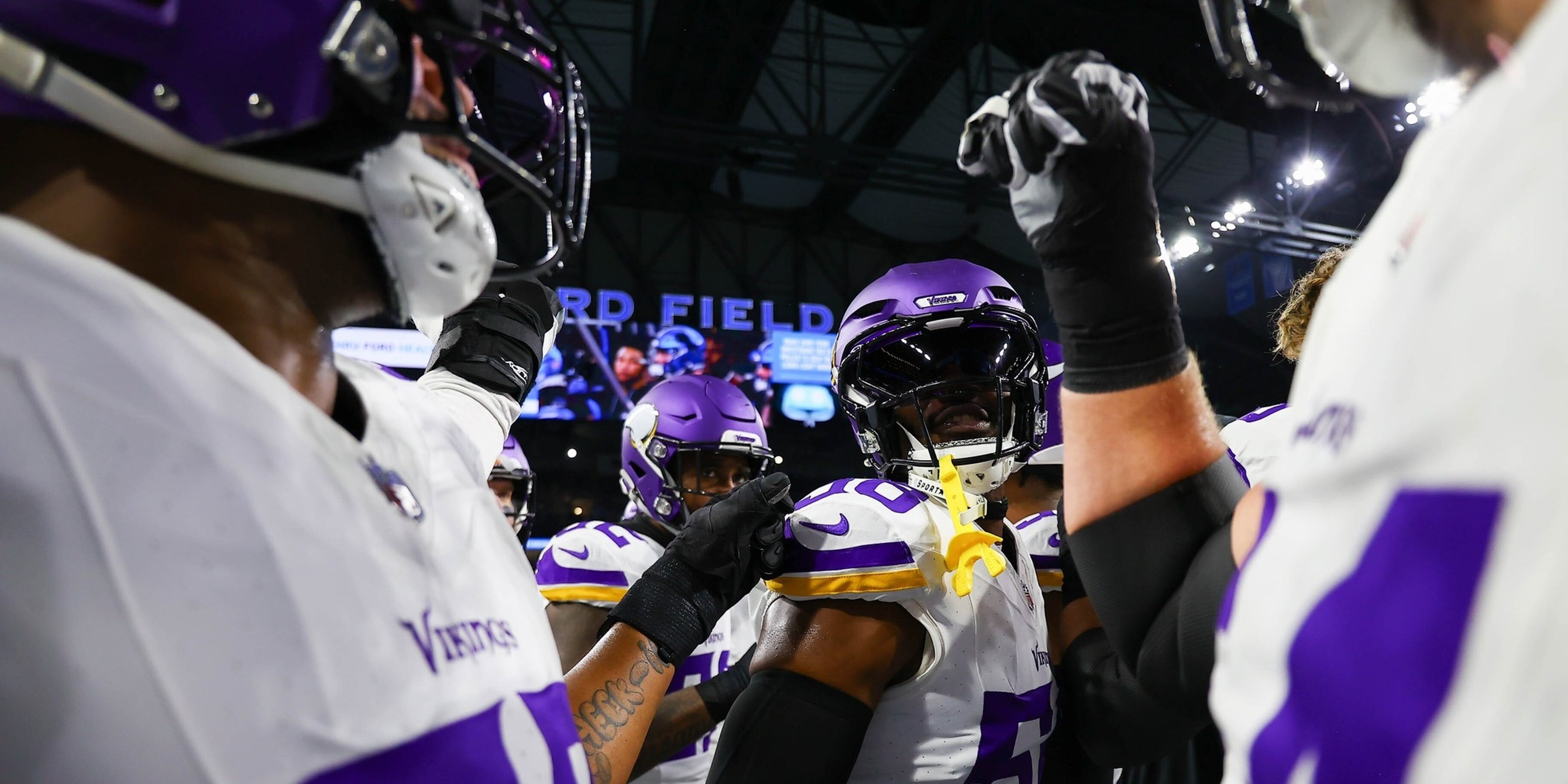 Image for Minnesota Vikings