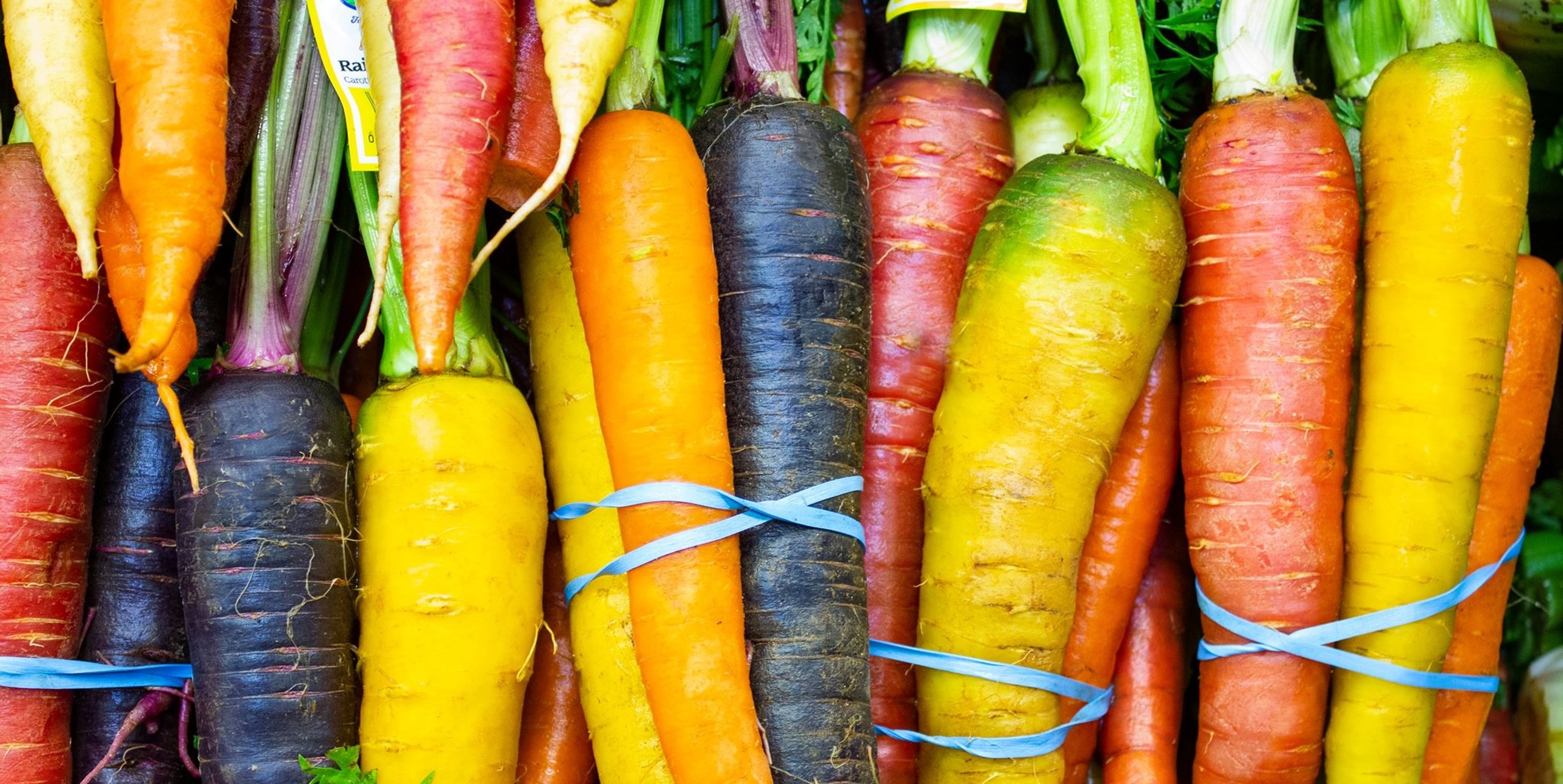 Image for North Coast Co-op 