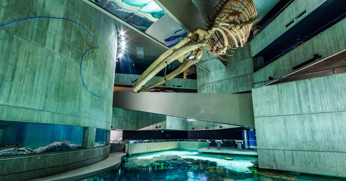 National Aquarium Donation Request