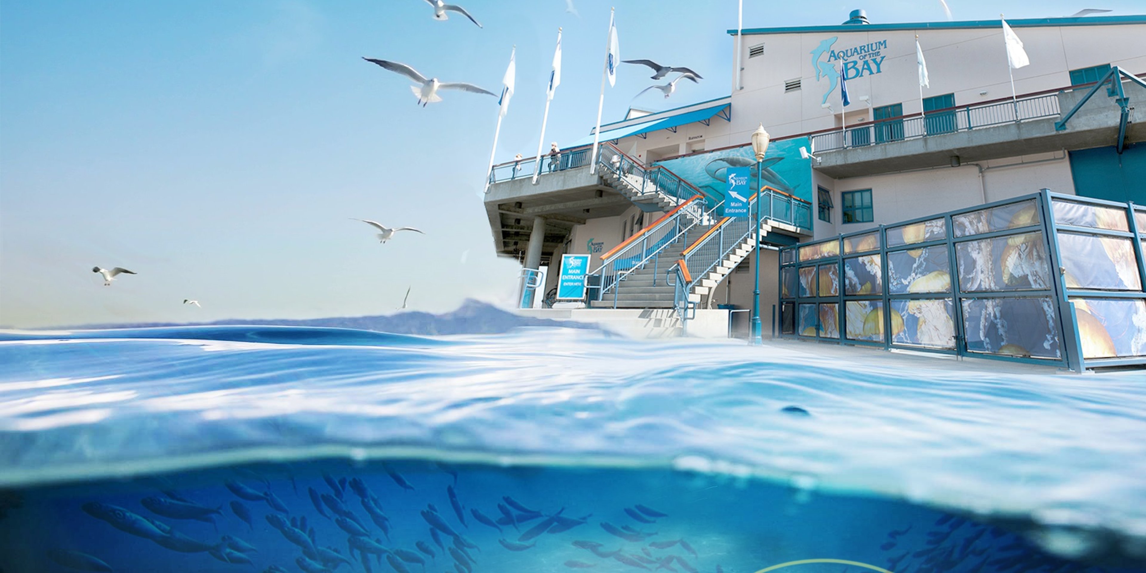 Image for Aquarium of the Bay