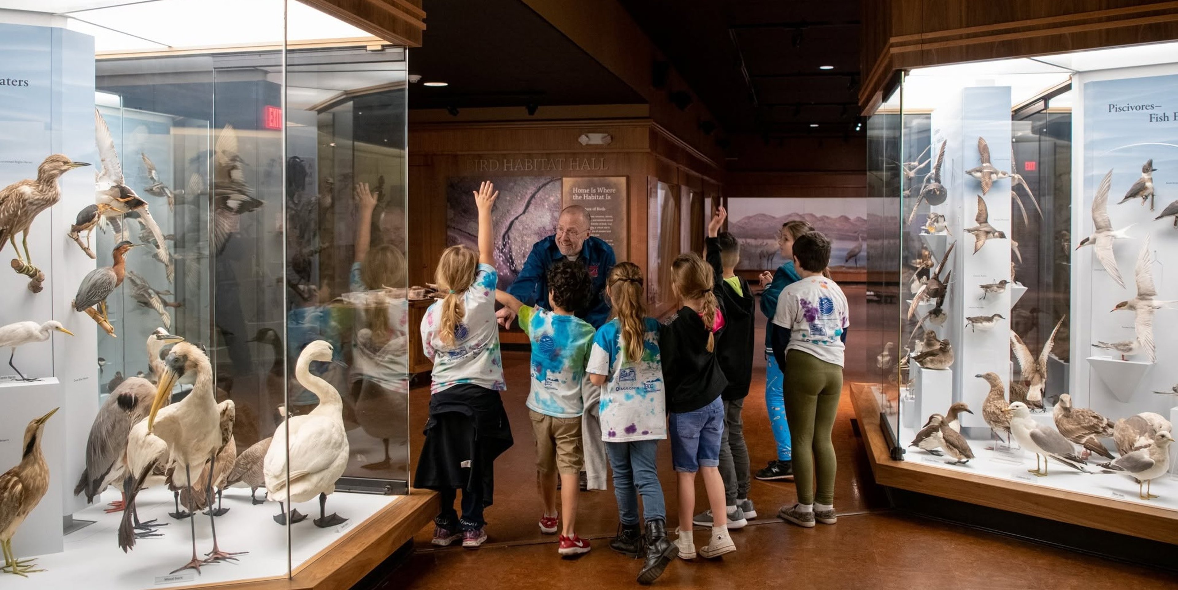 Image for Santa Barbara Museum of Natural History & Sea Center