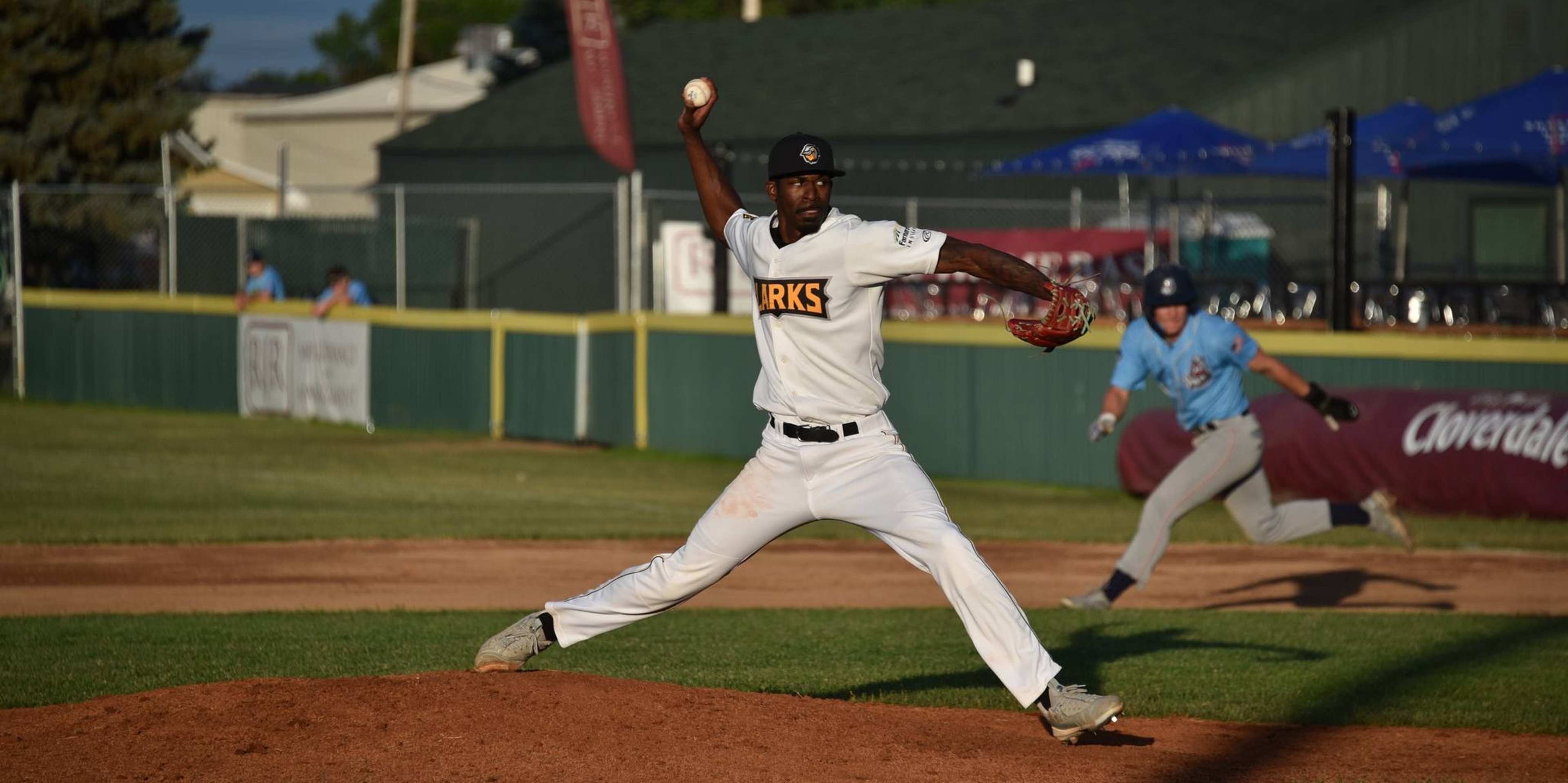 Image for Bismarck Larks