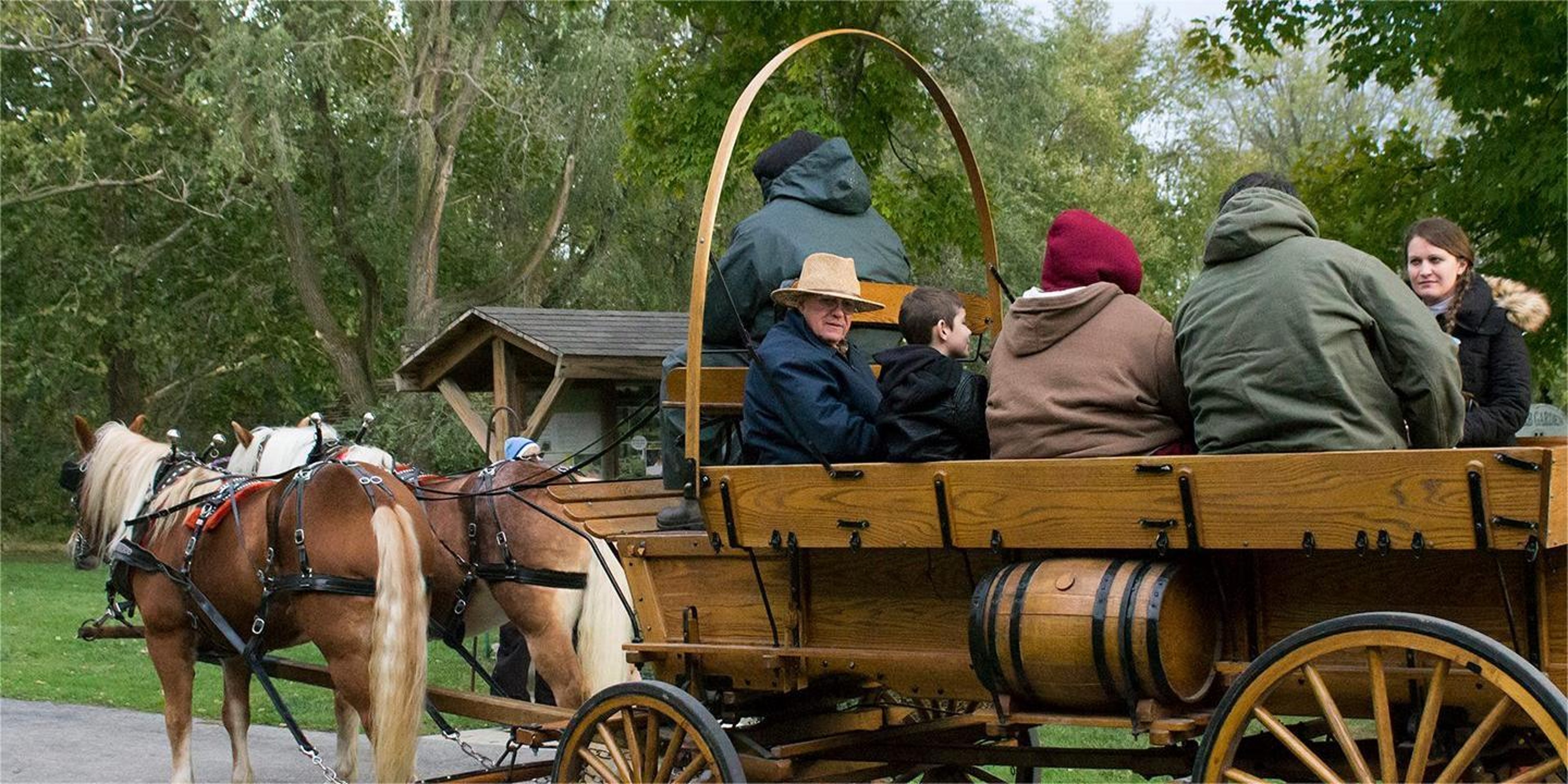 Image for Wood County Museum