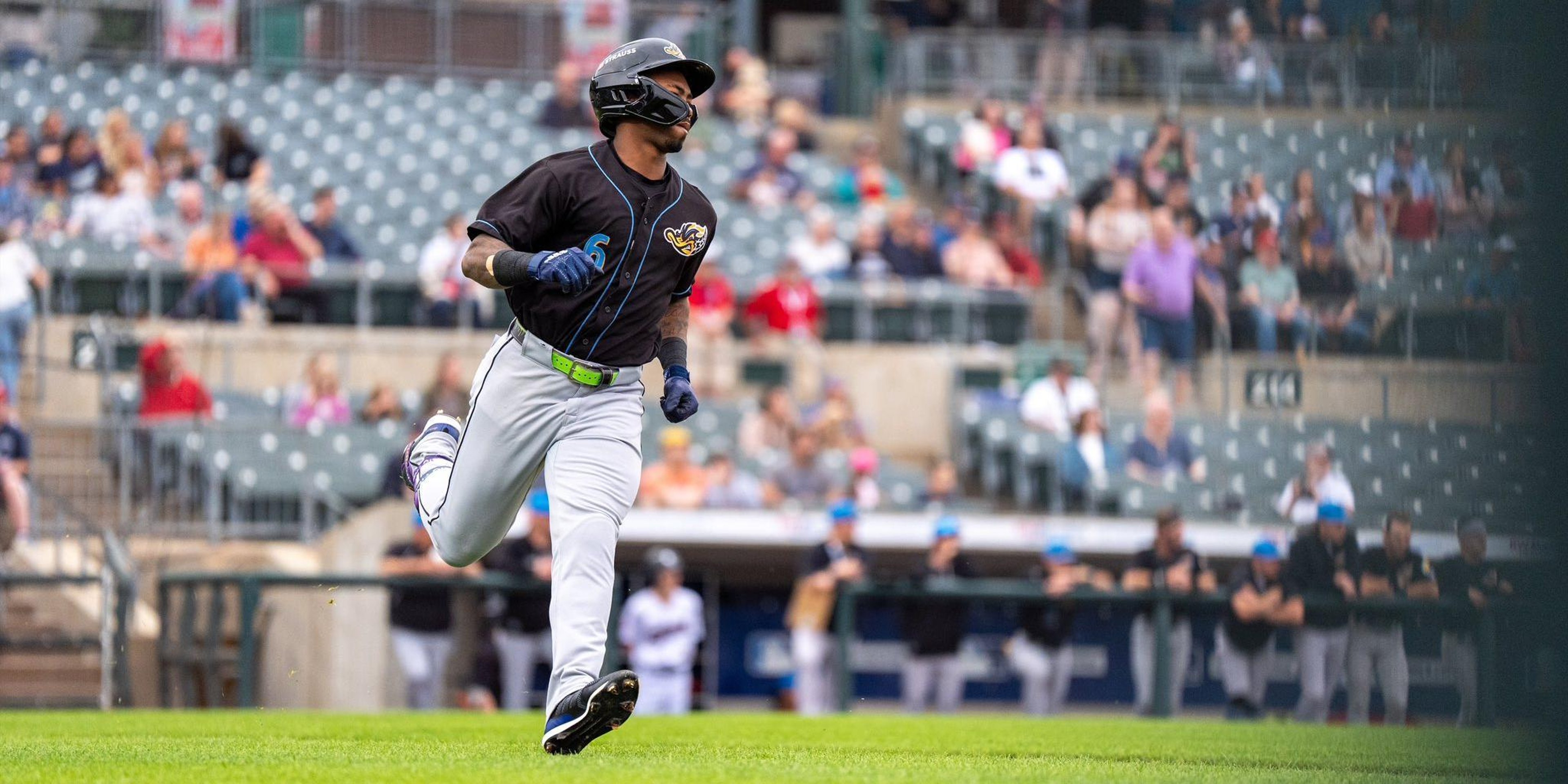 Image for Akron RubberDucks