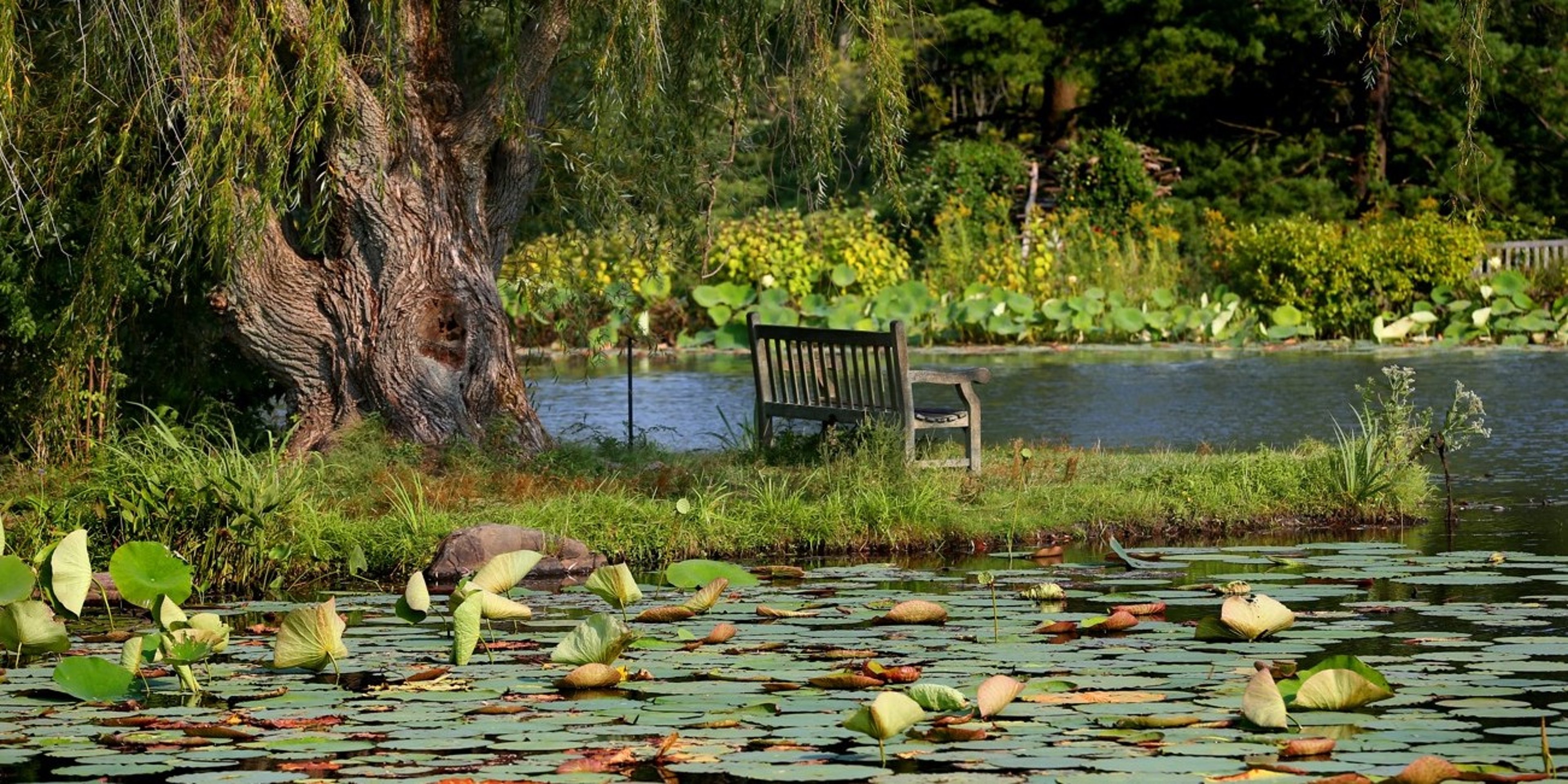 Image for Holden Forests & Gardens