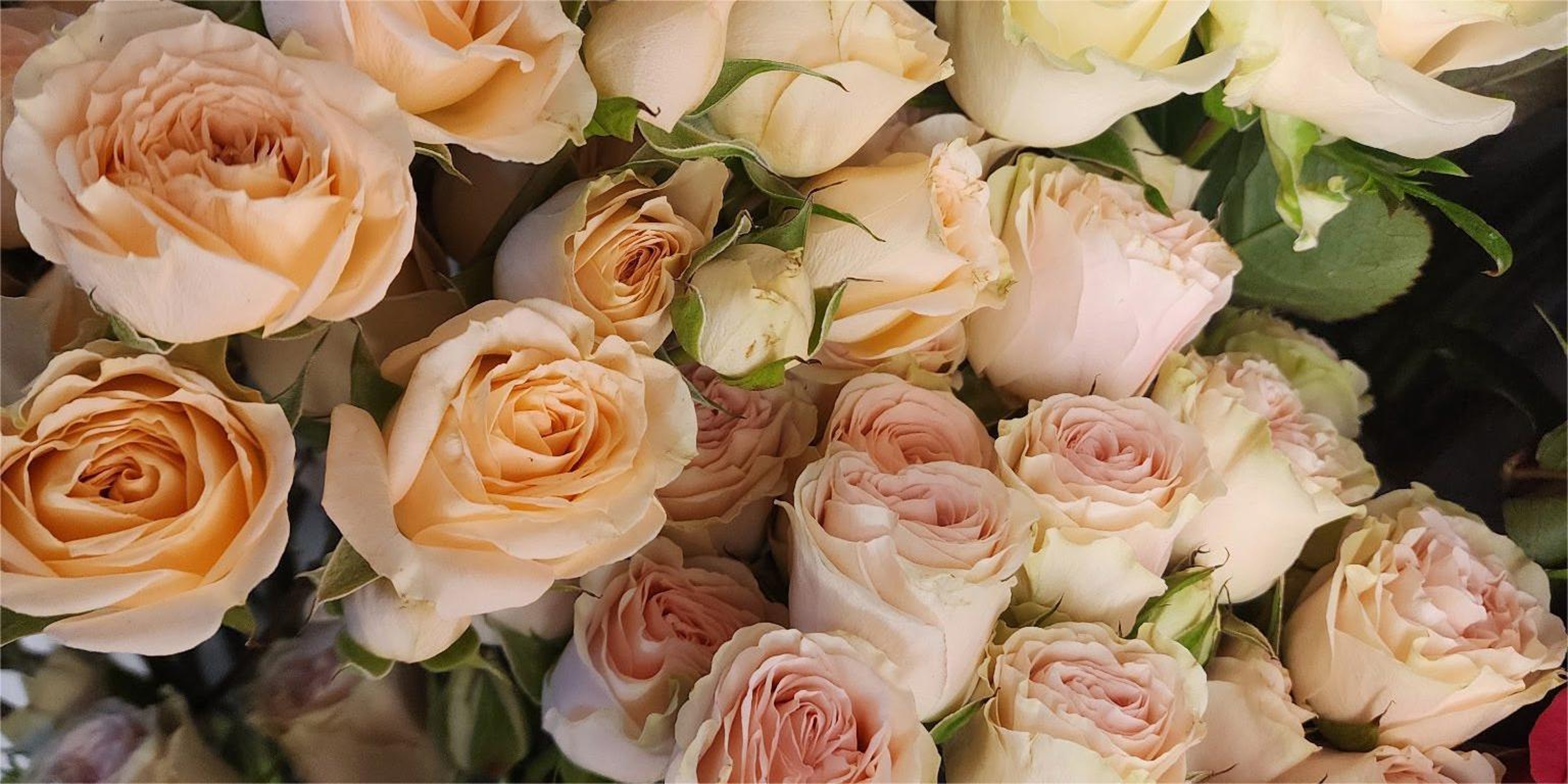 Image for Bloomwoods Flowers