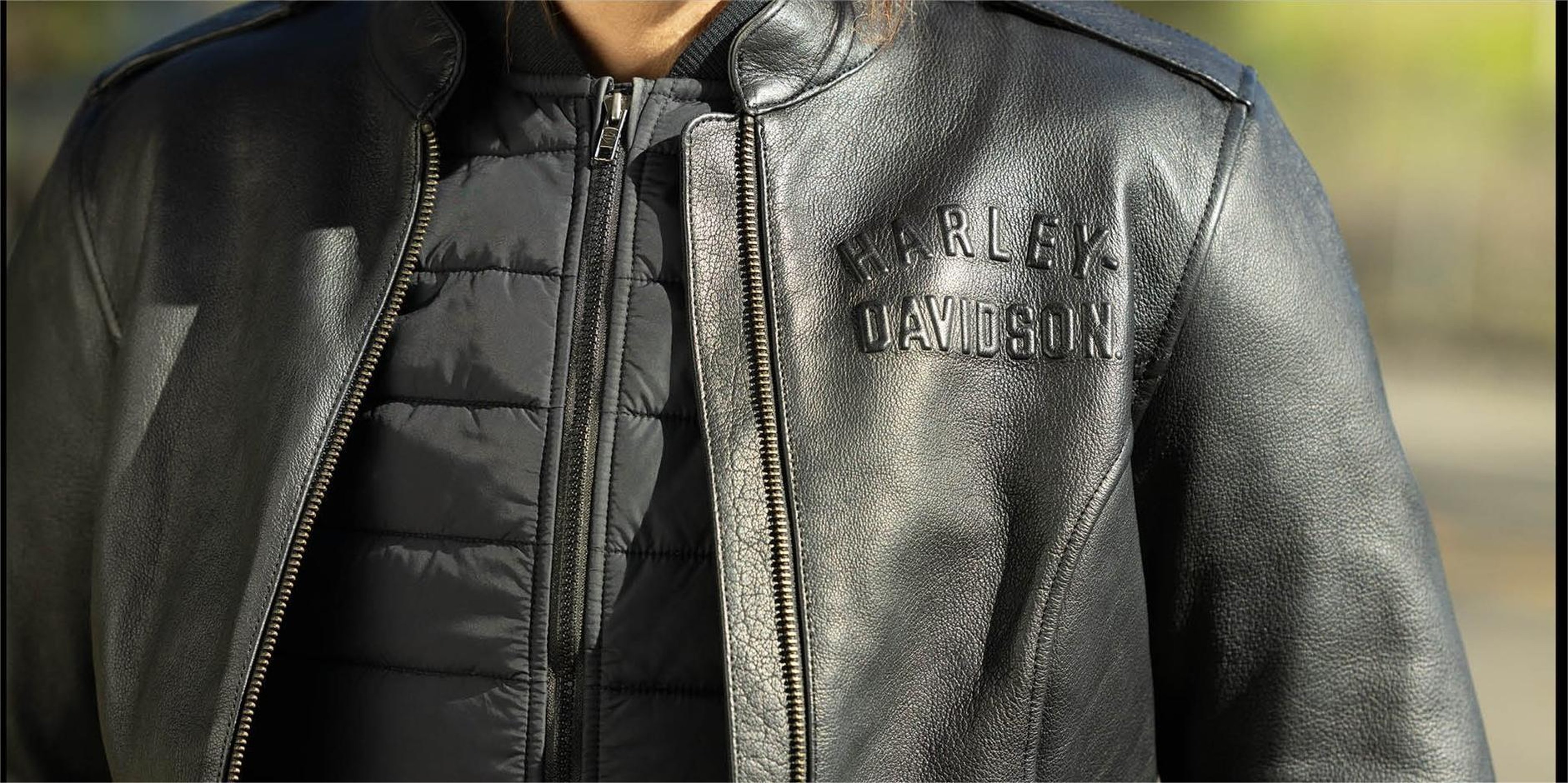 Image for Iron Nation Harley-Davidson