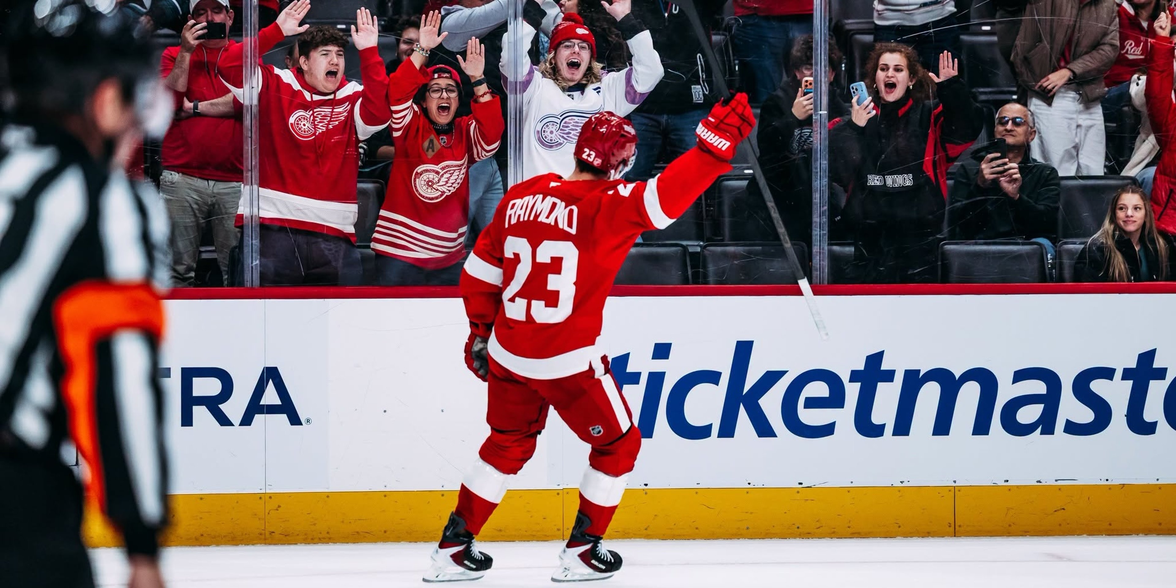Image for Detroit Red Wings