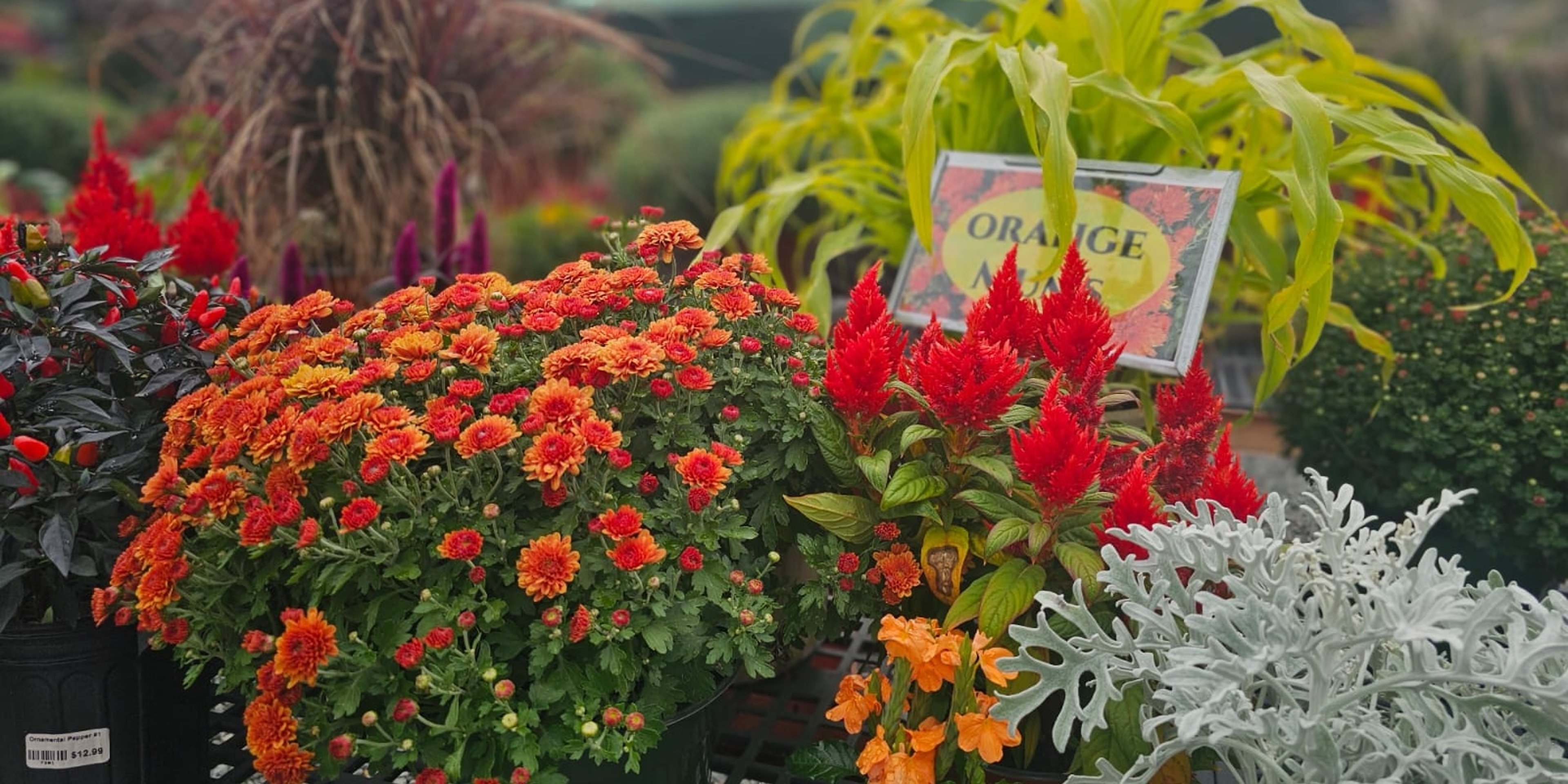 Image for Herbein's Garden Center 