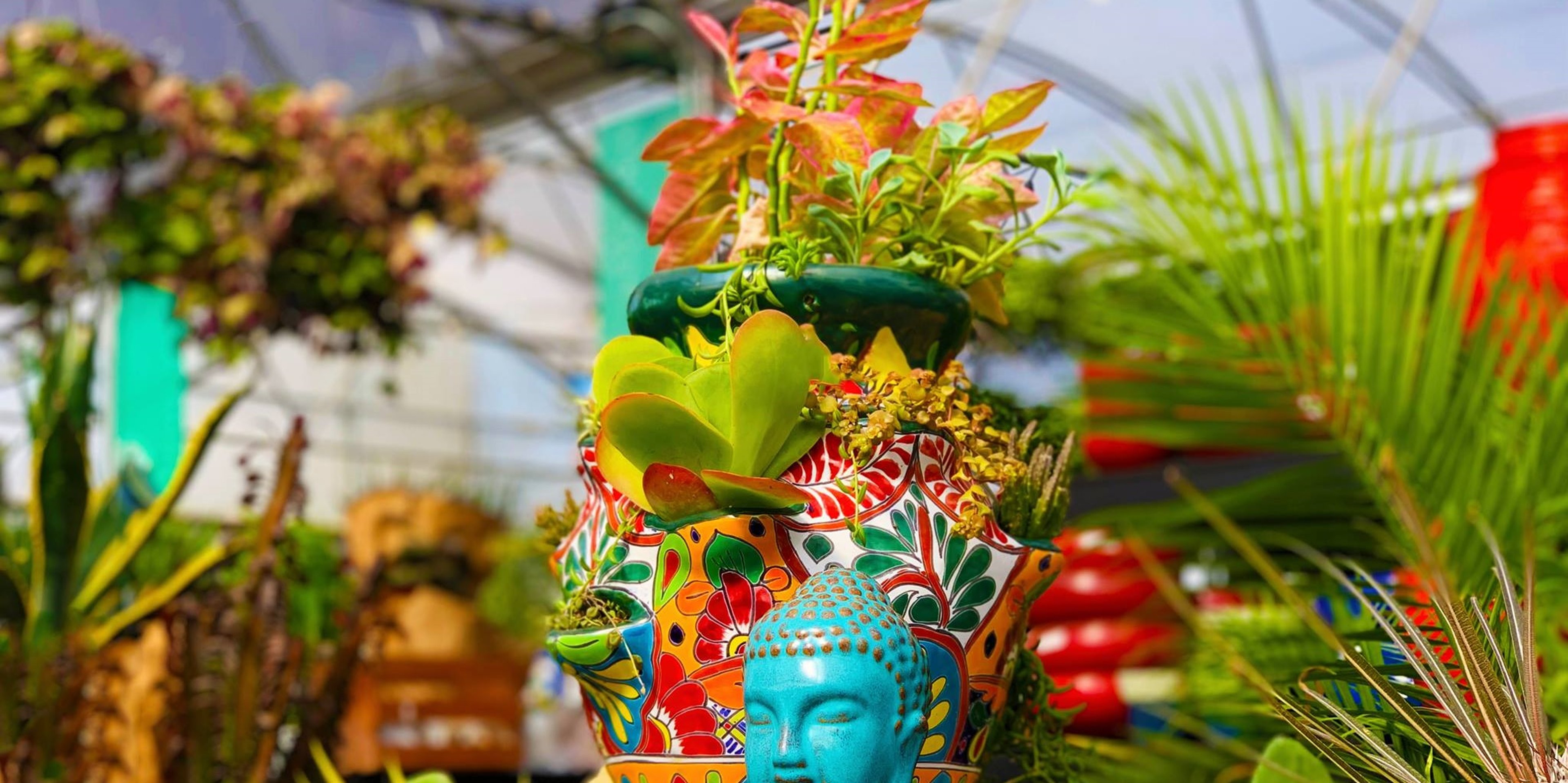 Image for Buchanan's Plants