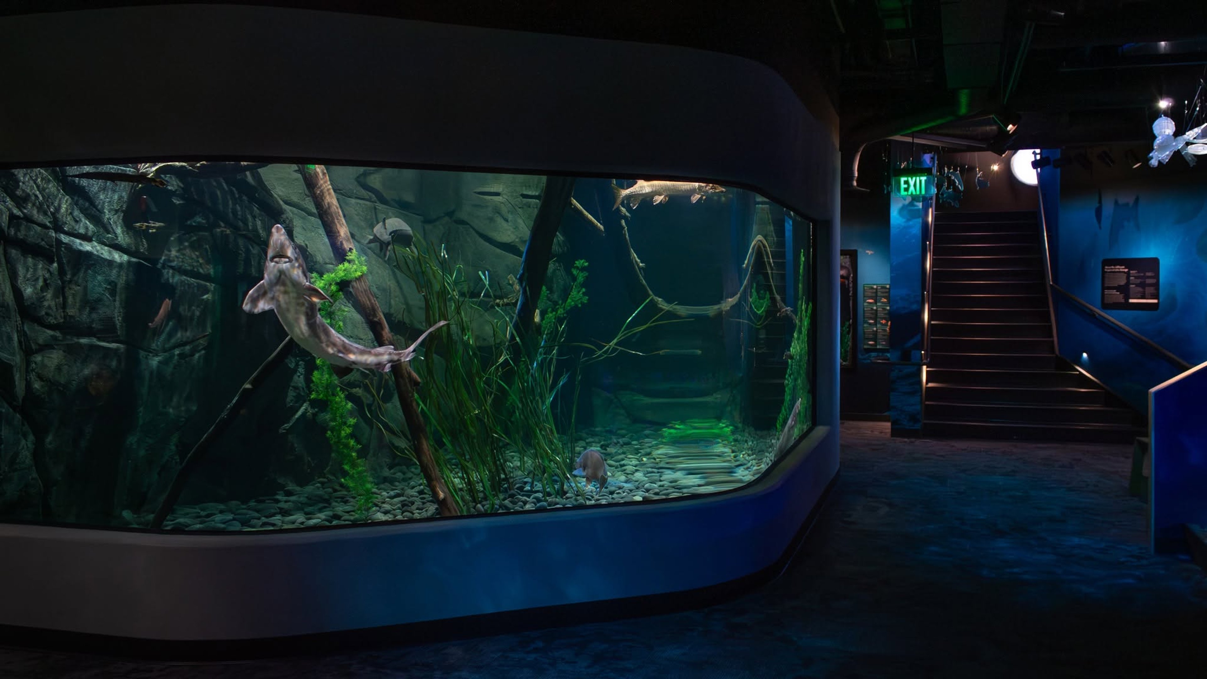 Image for ECHO, Leahy Center for Lake Champlain