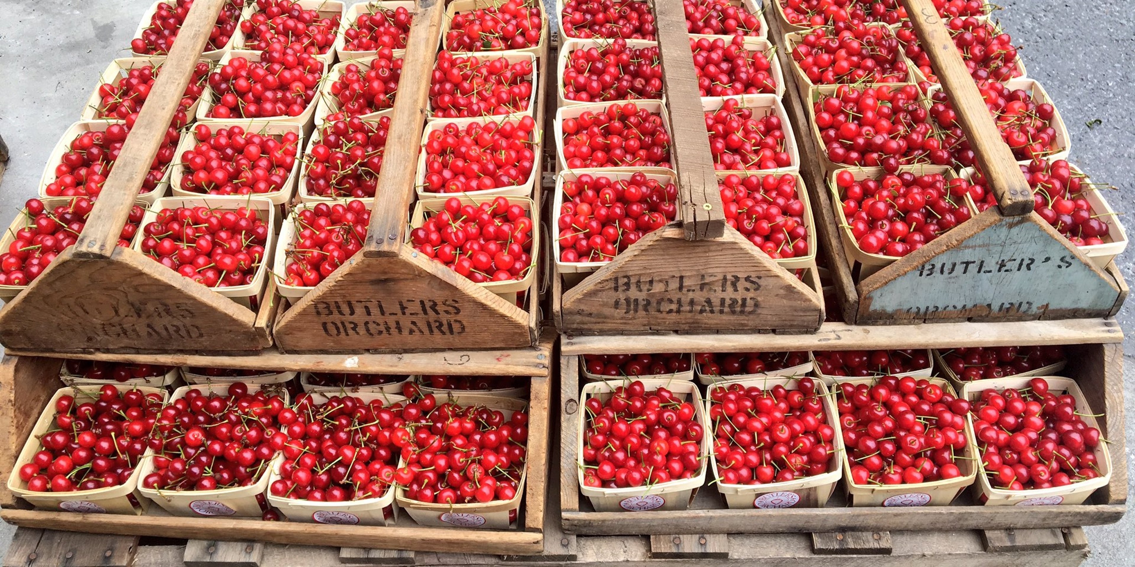 Image for Butler's Orchard