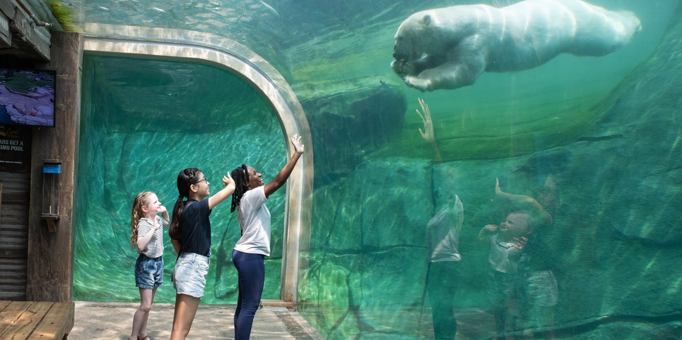 Columbus Zoo and Aquarium Donation Request