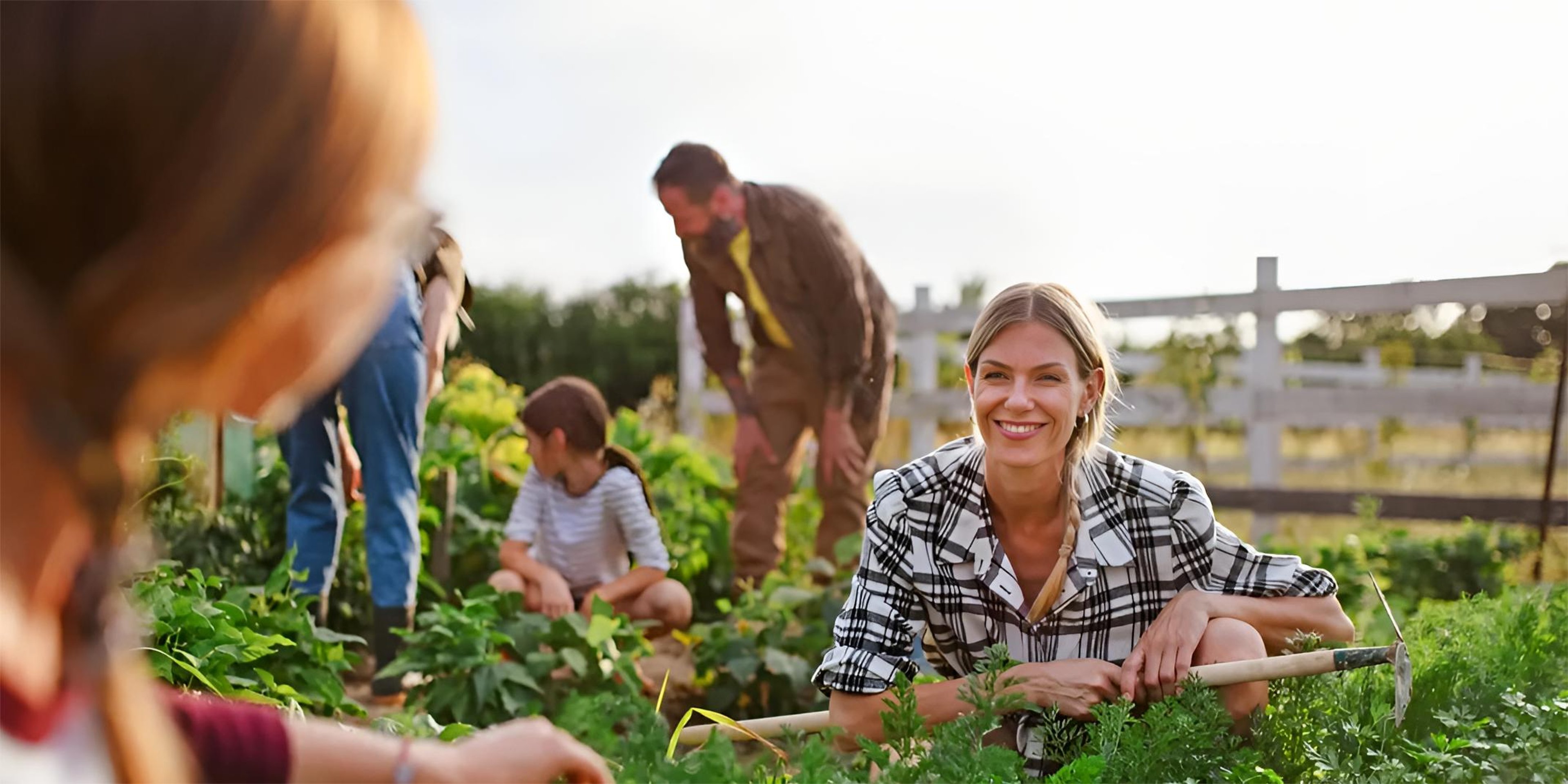 Image for Coast of Maine