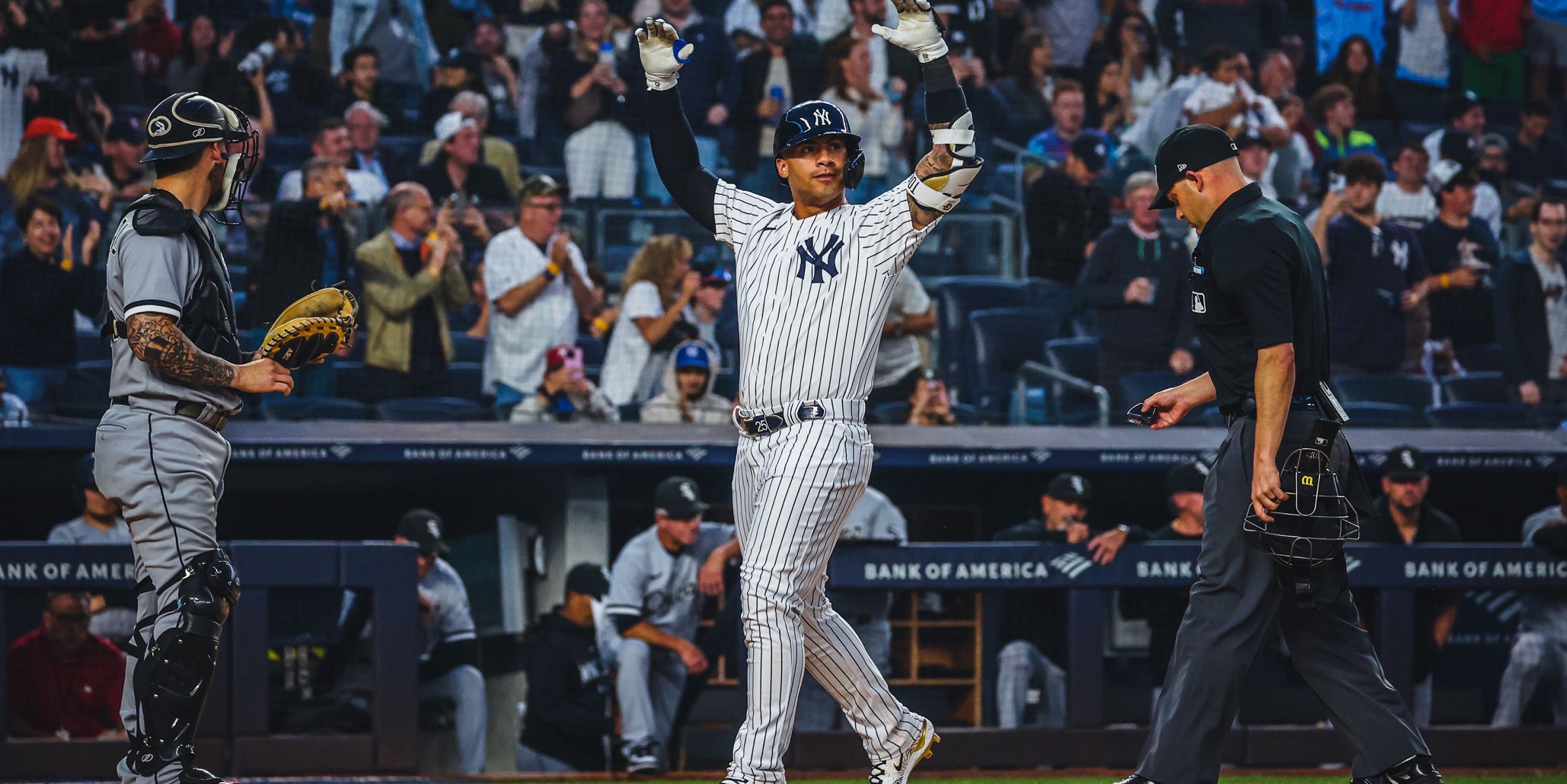 Image for New York Yankees