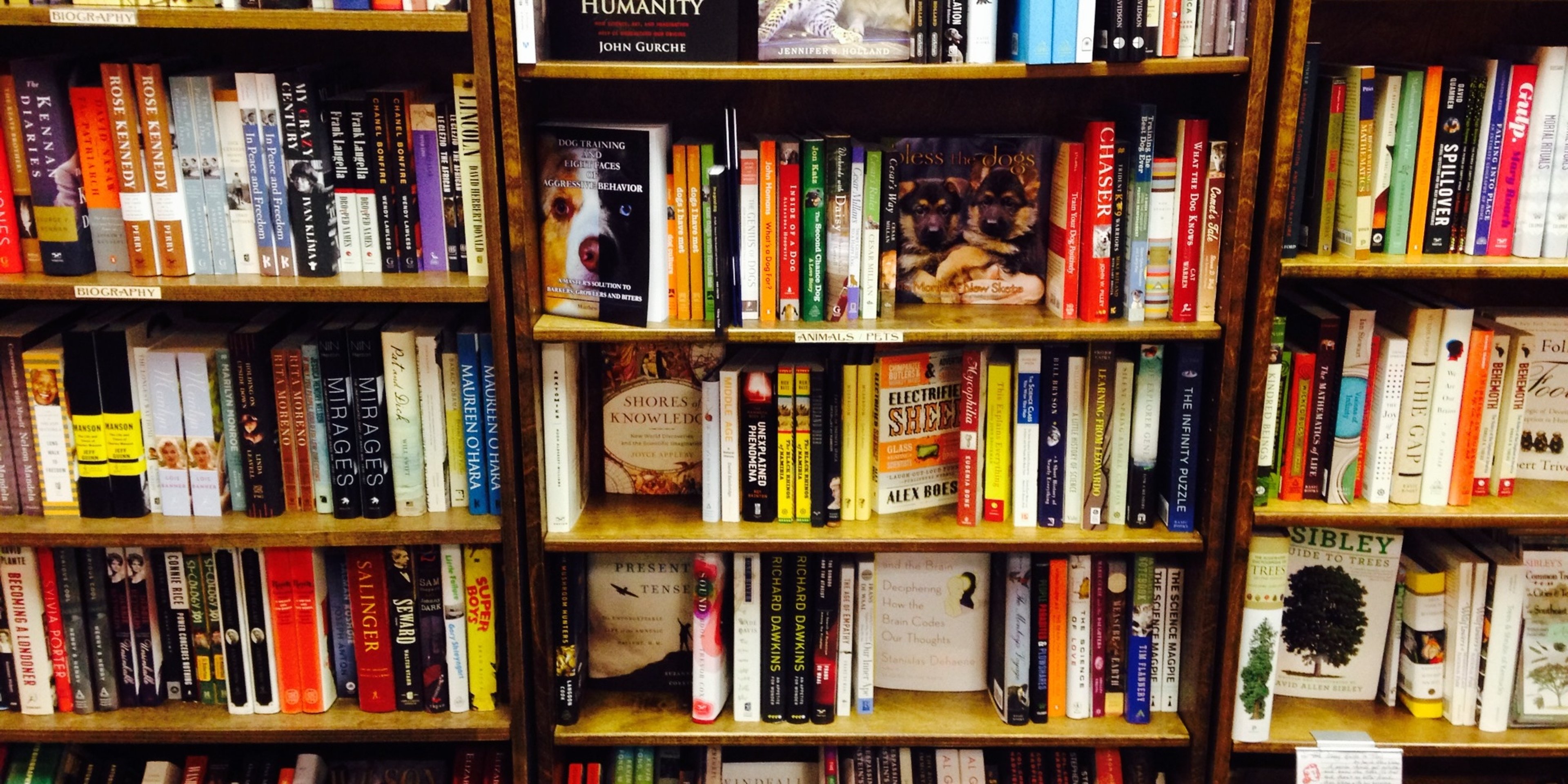 Image for Carmichael’s Bookstore