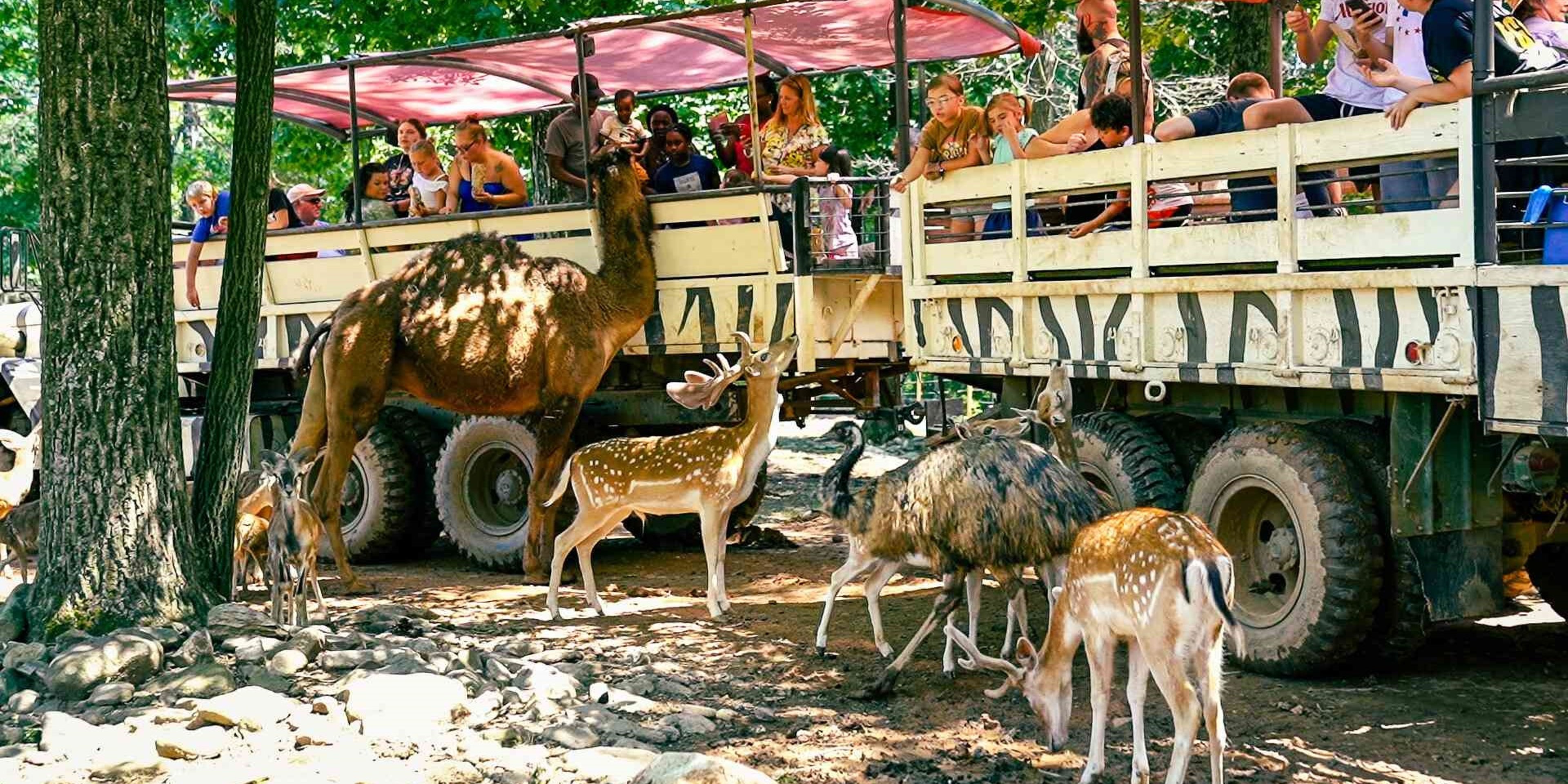 Image for Catoctin Wildlife Preserve